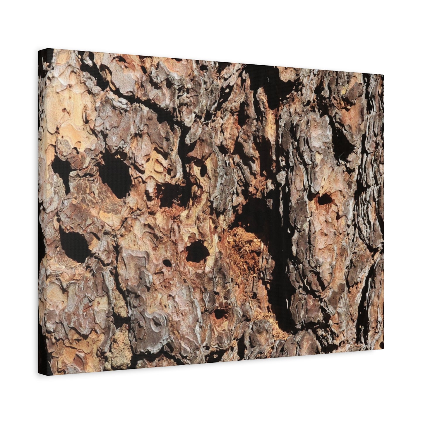 Tree Bark Mosaic - Unique Frameless Canvas Wall Art