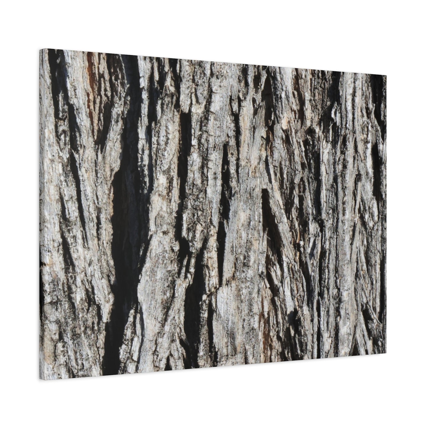 Bark Layers in Monochrome - Unique Frameless Canvas Wall Art