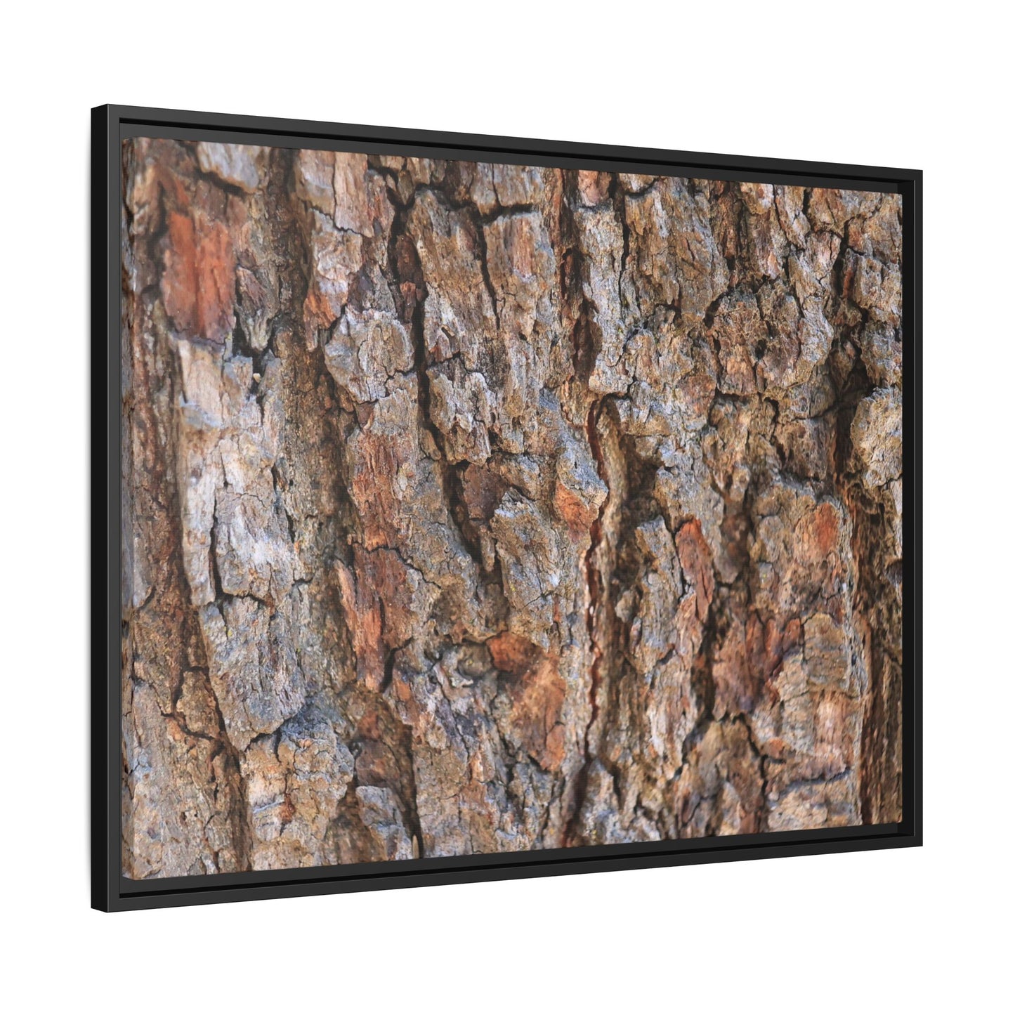 Tree's Timeworn Tale - Unique Stretched Canvas Wall Art