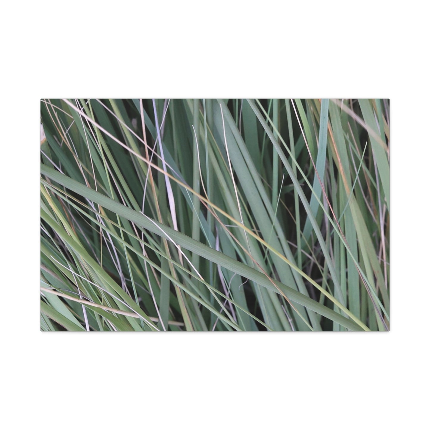 Whispers of Green - Unique Frameless Canvas Wall Art