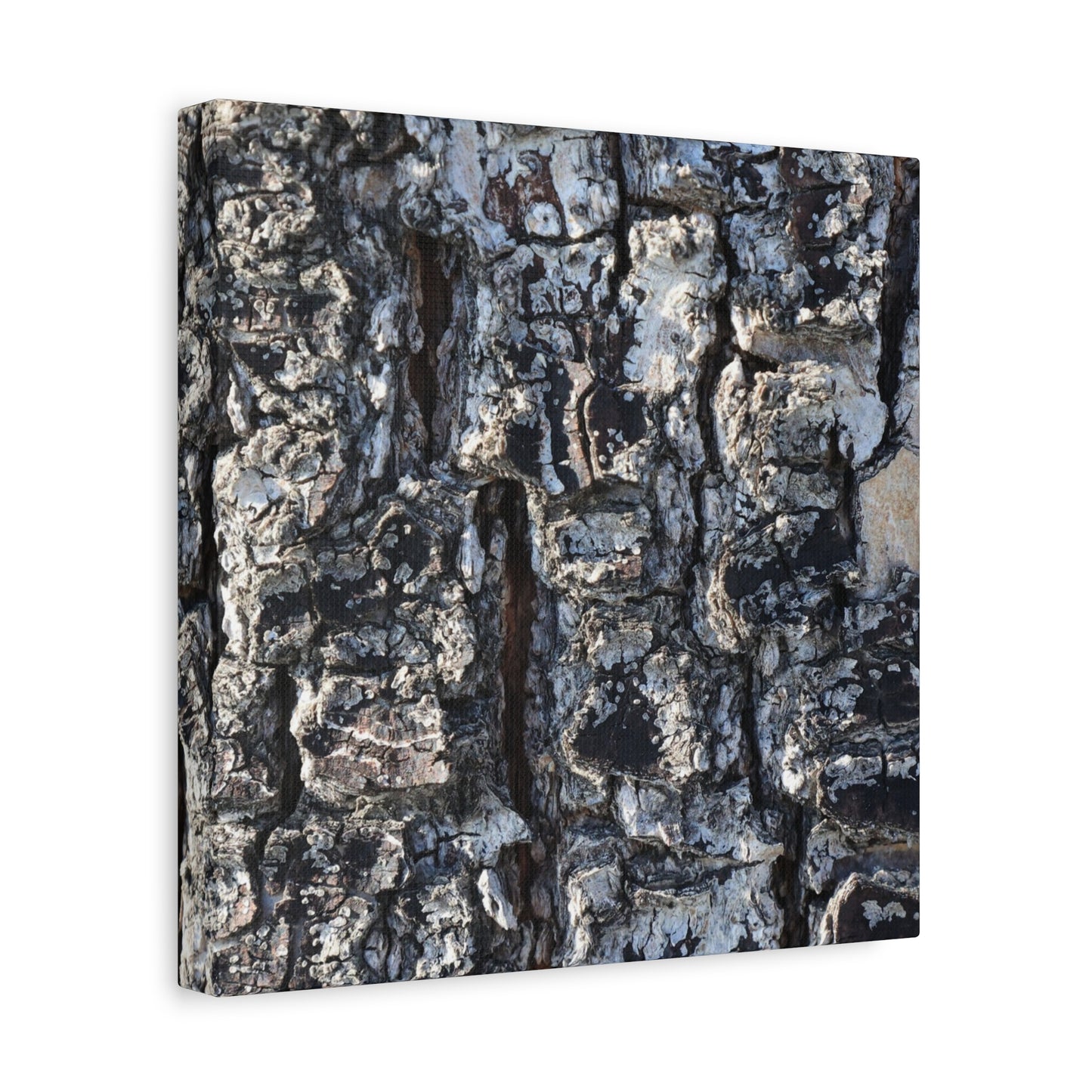 Textured Whispers of the Ancient Tree - Unique Frameless Canvas Wall Art