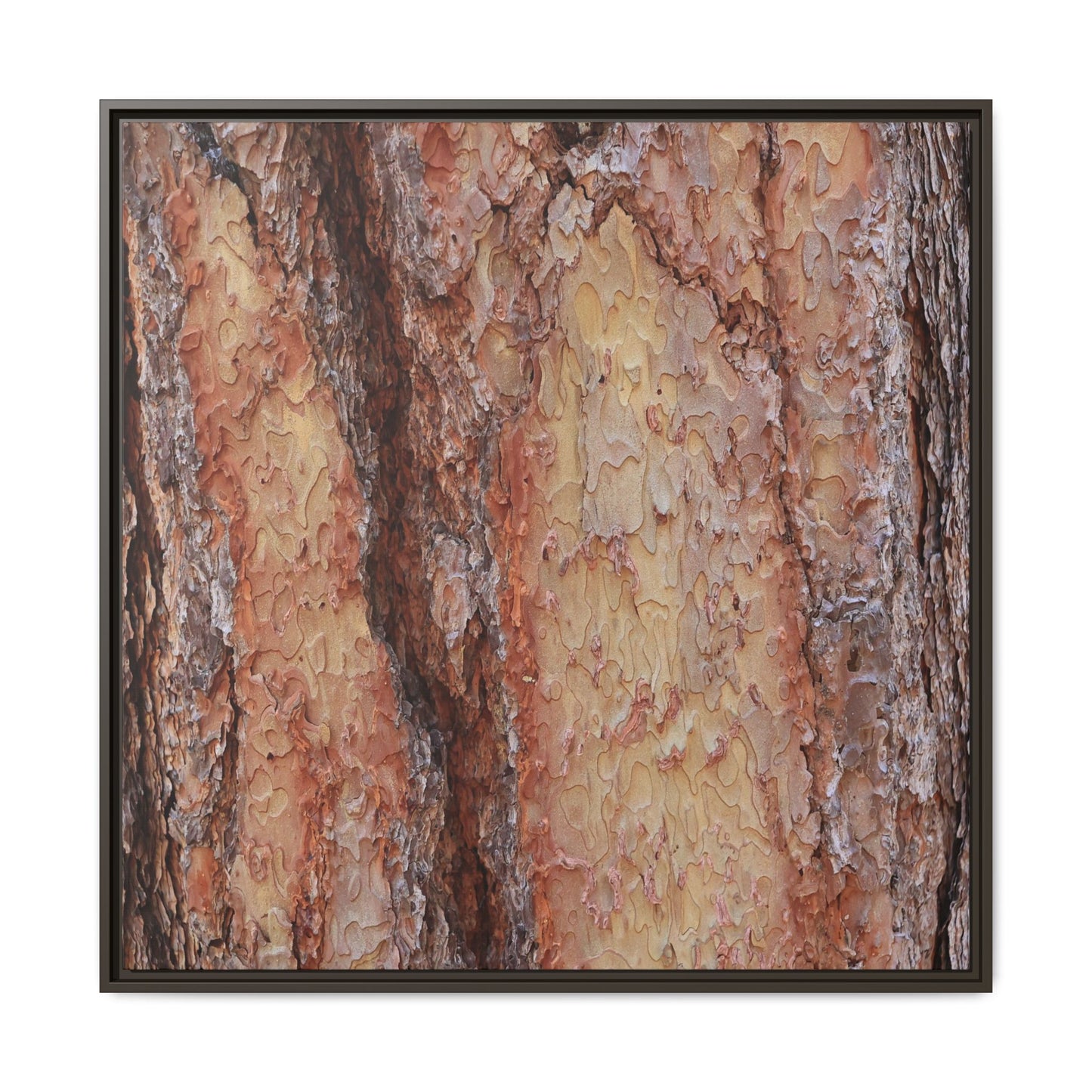 Rustic Rhythms - Unique Stretched Canvas Wall Art