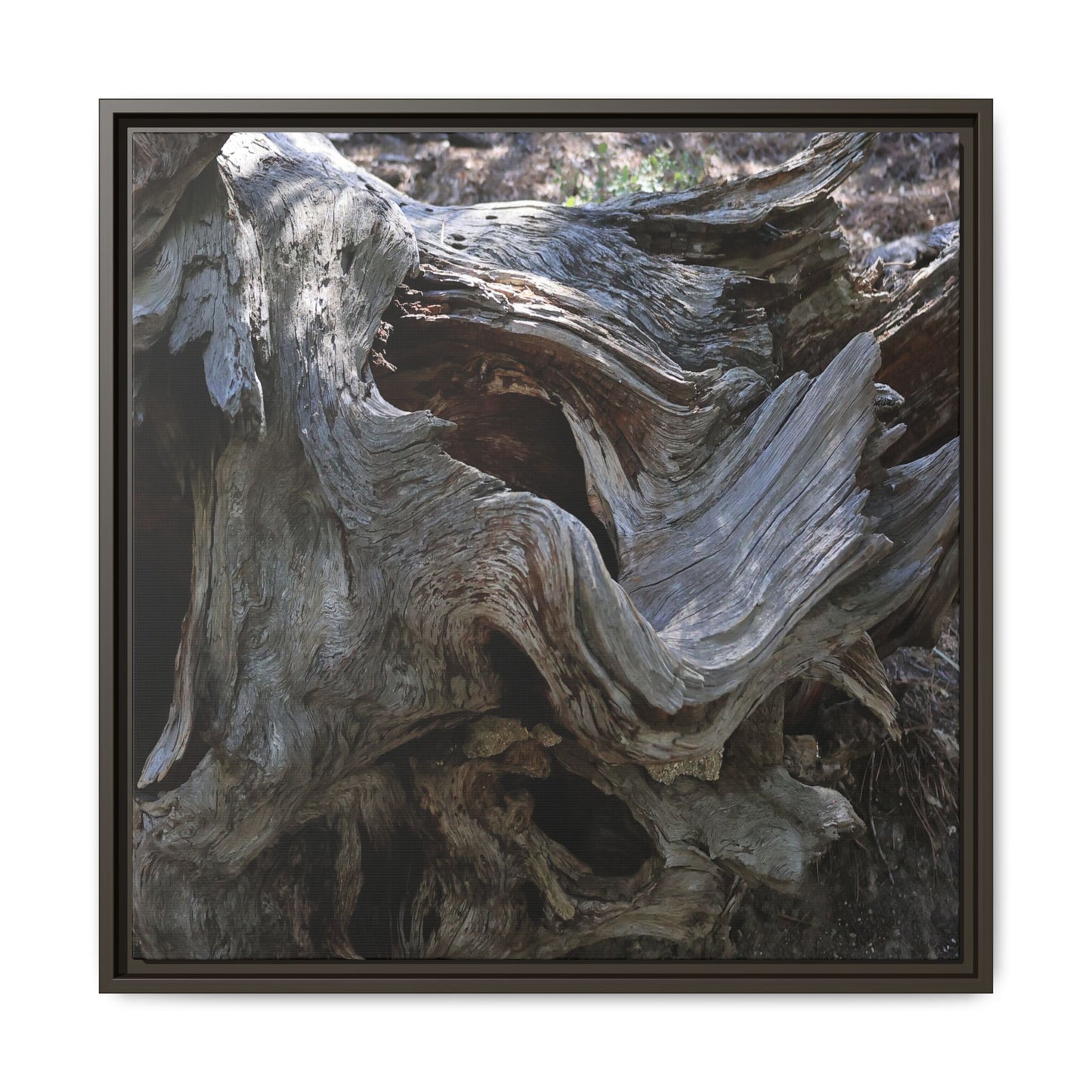 Twisted Memories - Unique Stretched Canvas Wall Art