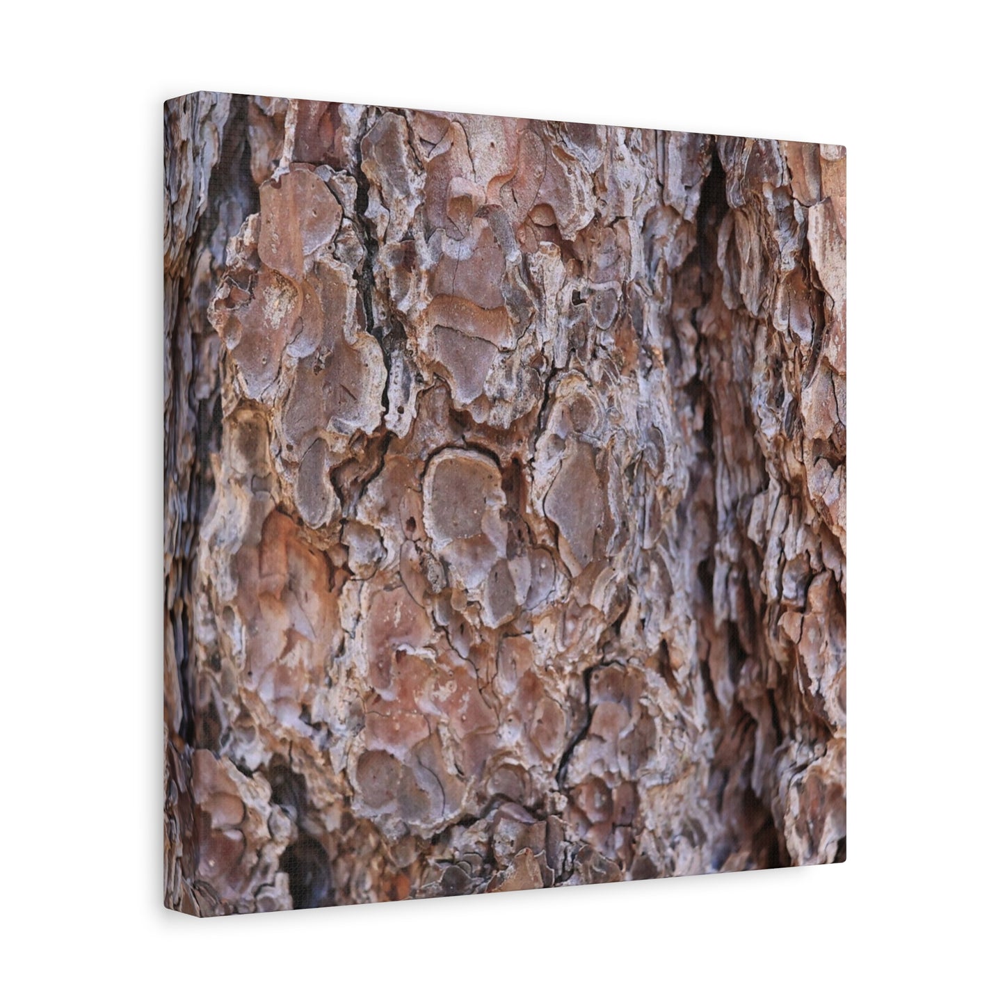 Rugged Bark Landscape - Unique Frameless Canvas Wall Art