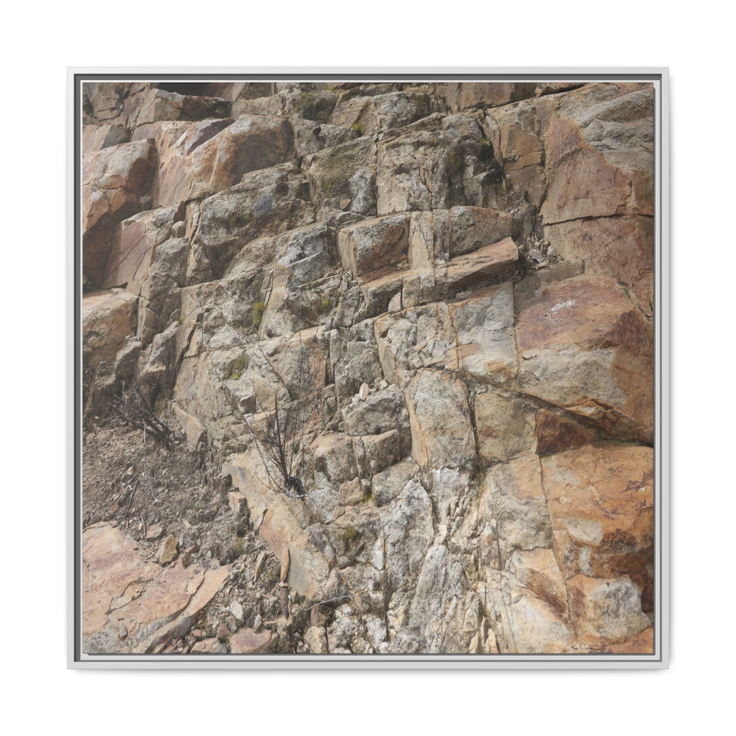 Stone's Silent Story - Unique Stretched Canvas Wall Art