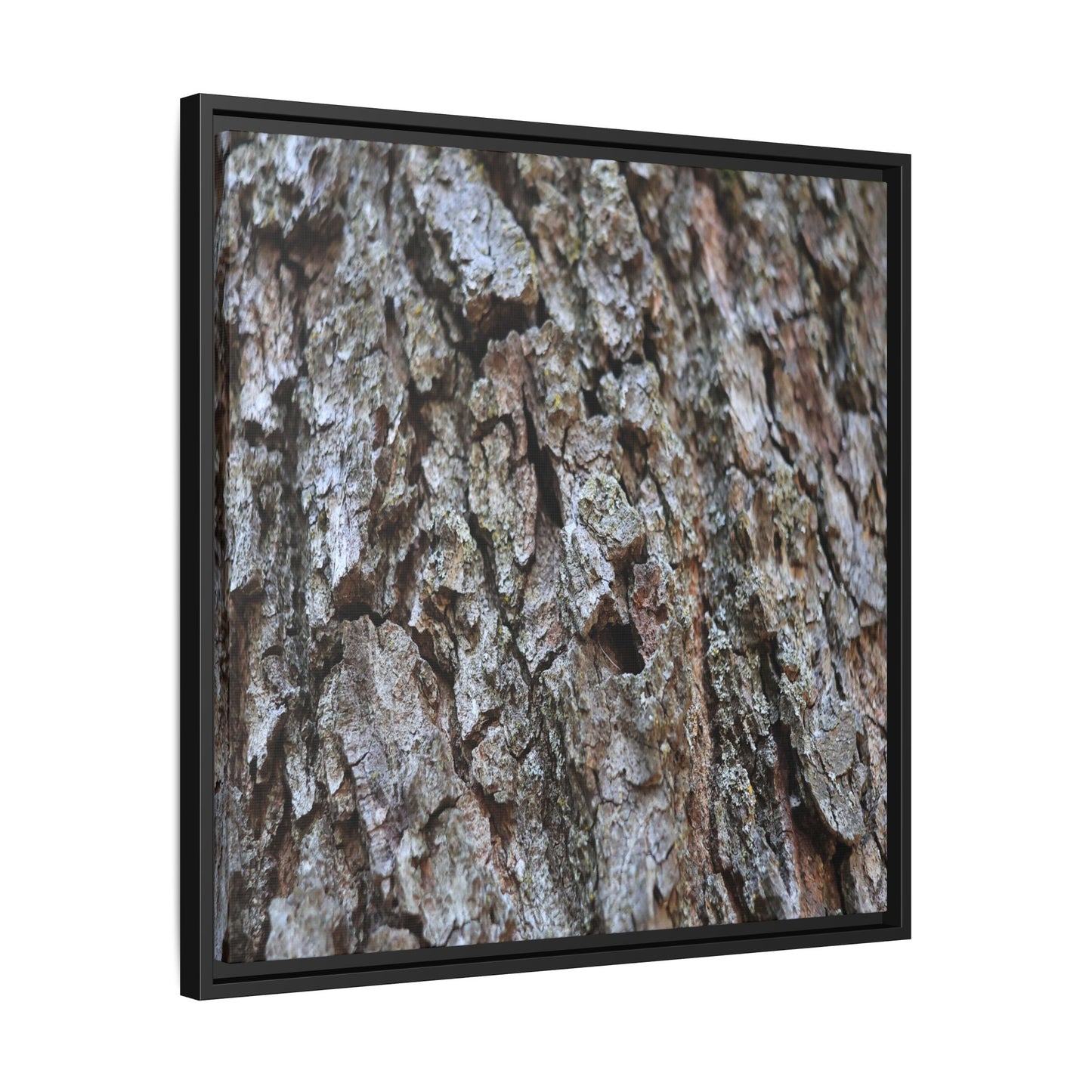 Woodland Canvas - Unique Stretched Canvas Wall Art