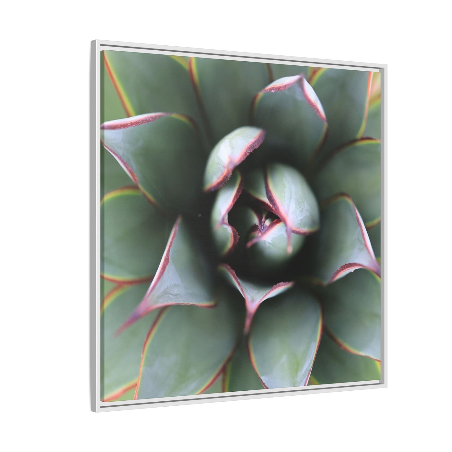 Spiky Elegance - Unique Stretched Canvas Wall Art