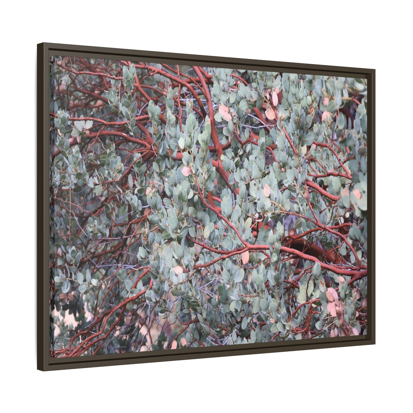 Whispers of Sage - Unique Stretched Canvas Wall Art