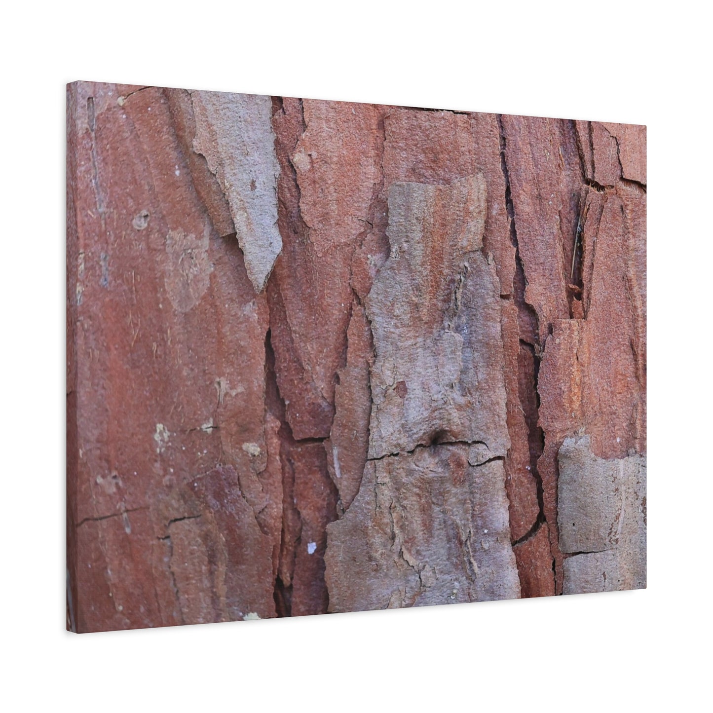 Fractal Rust - Unique Frameless Canvas Wall Art