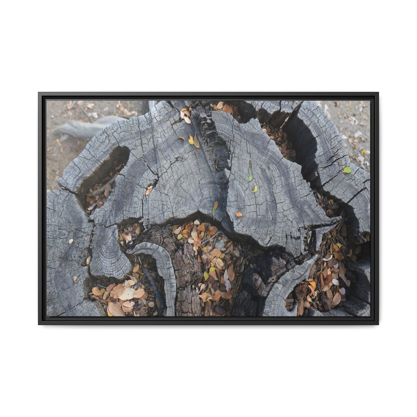Time's Fractal Memory - Unique Stretched Canvas Wall Art