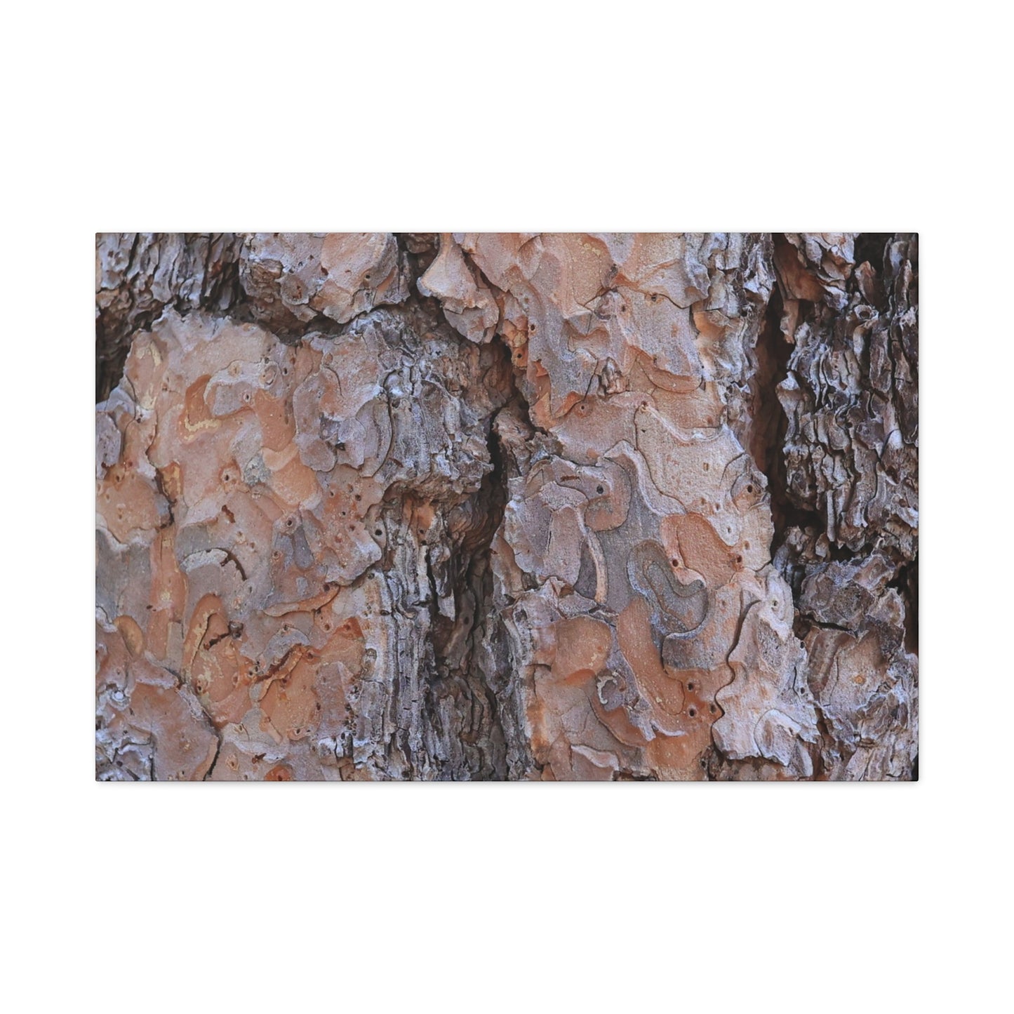 Arboreal Armor - Unique Frameless Canvas Wall Art