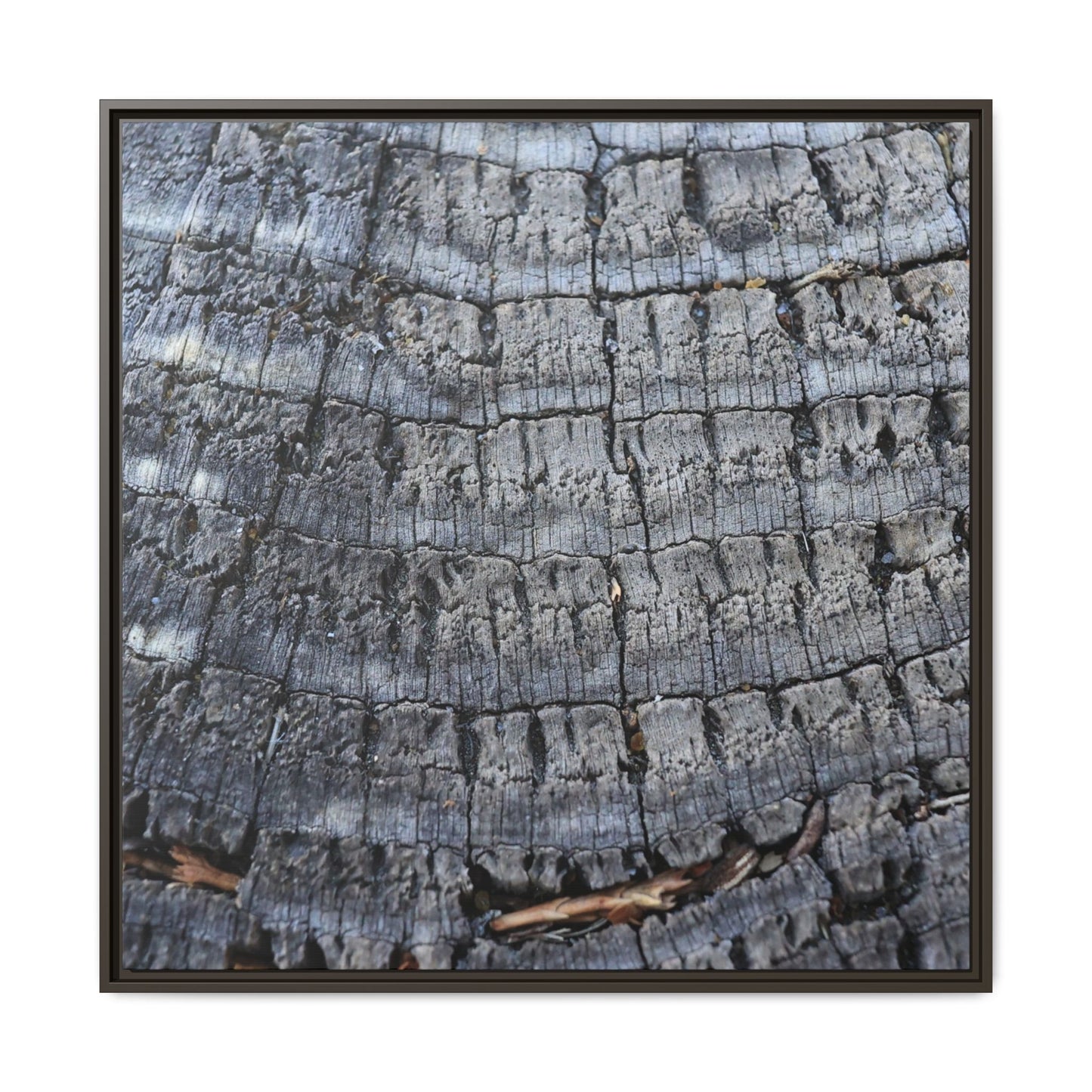 Charred Memories - Unique Stretched Canvas Wall Art