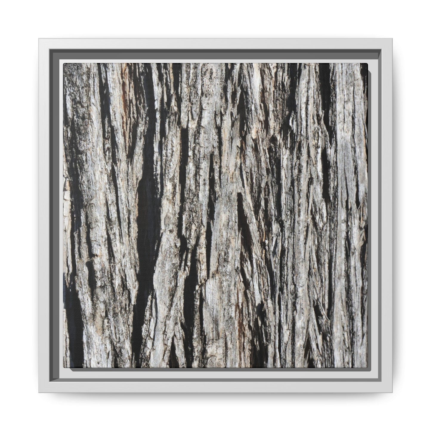 Nature's Abstract - Unique Stretched Canvas Wall Art