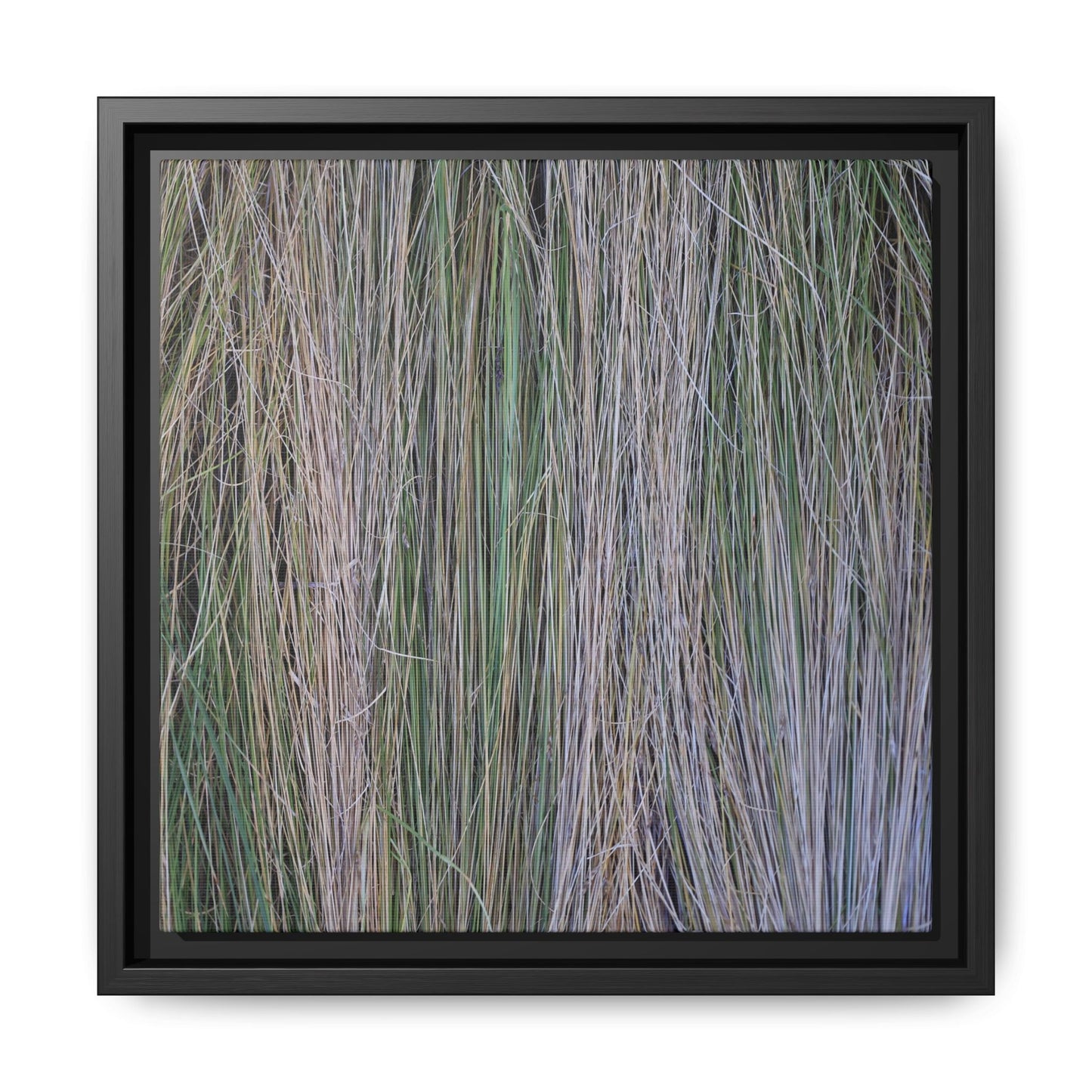 Whispers of Silver Grass - Unique Stretched Canvas Wall Art