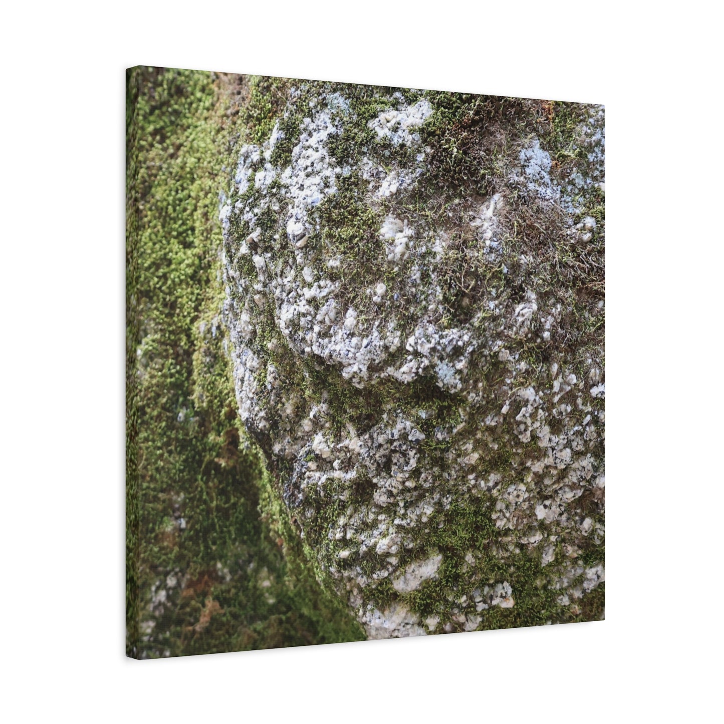 Moss and Stone Whispers - Unique Frameless Canvas Wall Art