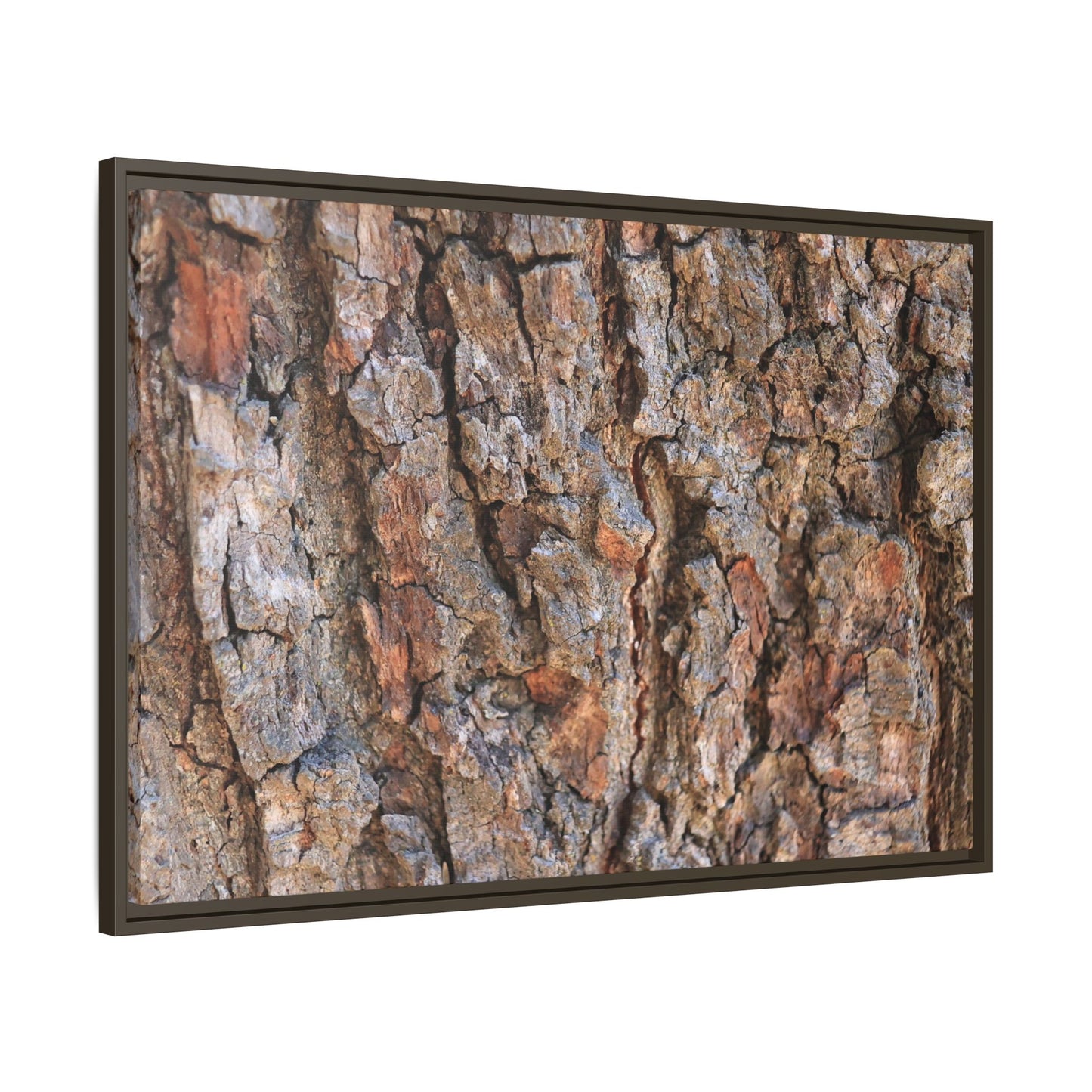 Tree's Timeworn Tale - Unique Stretched Canvas Wall Art