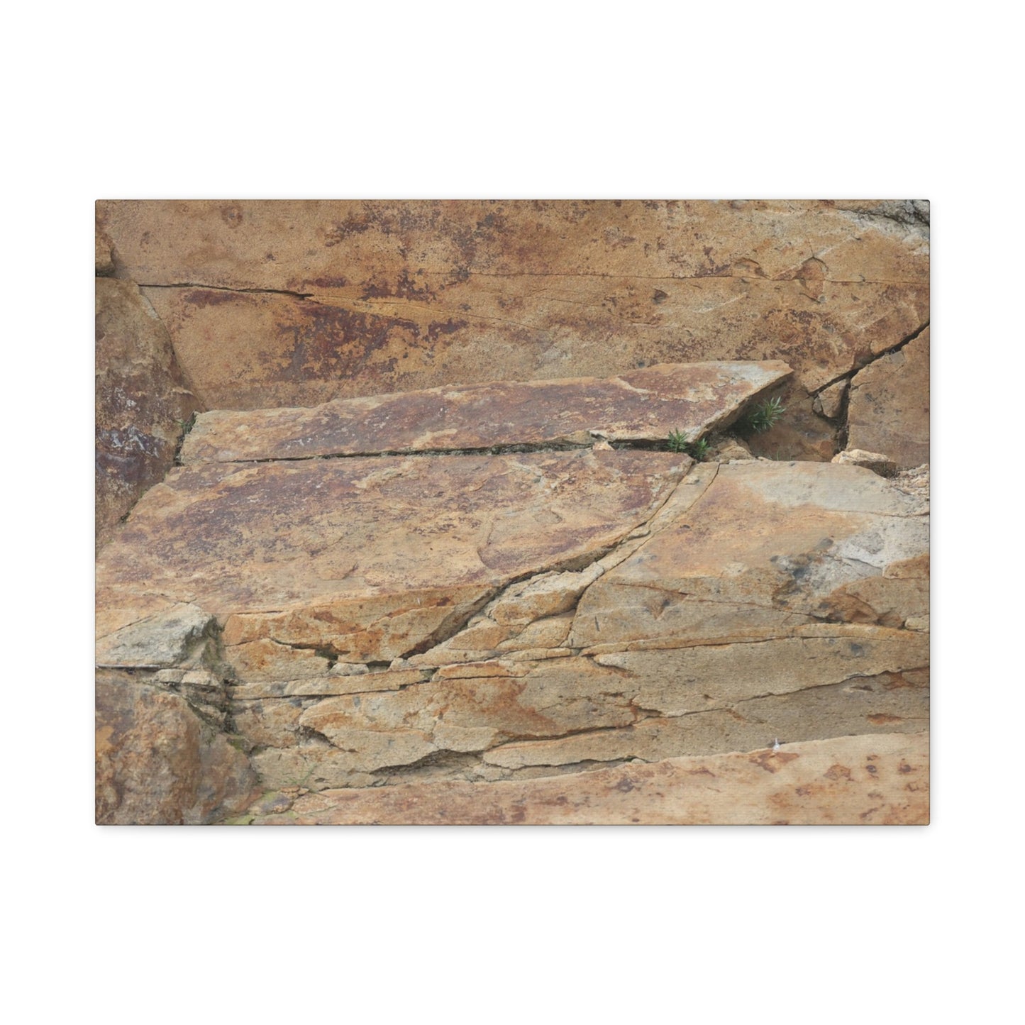 Rocky Terrain - Unique Frameless Canvas Wall Art