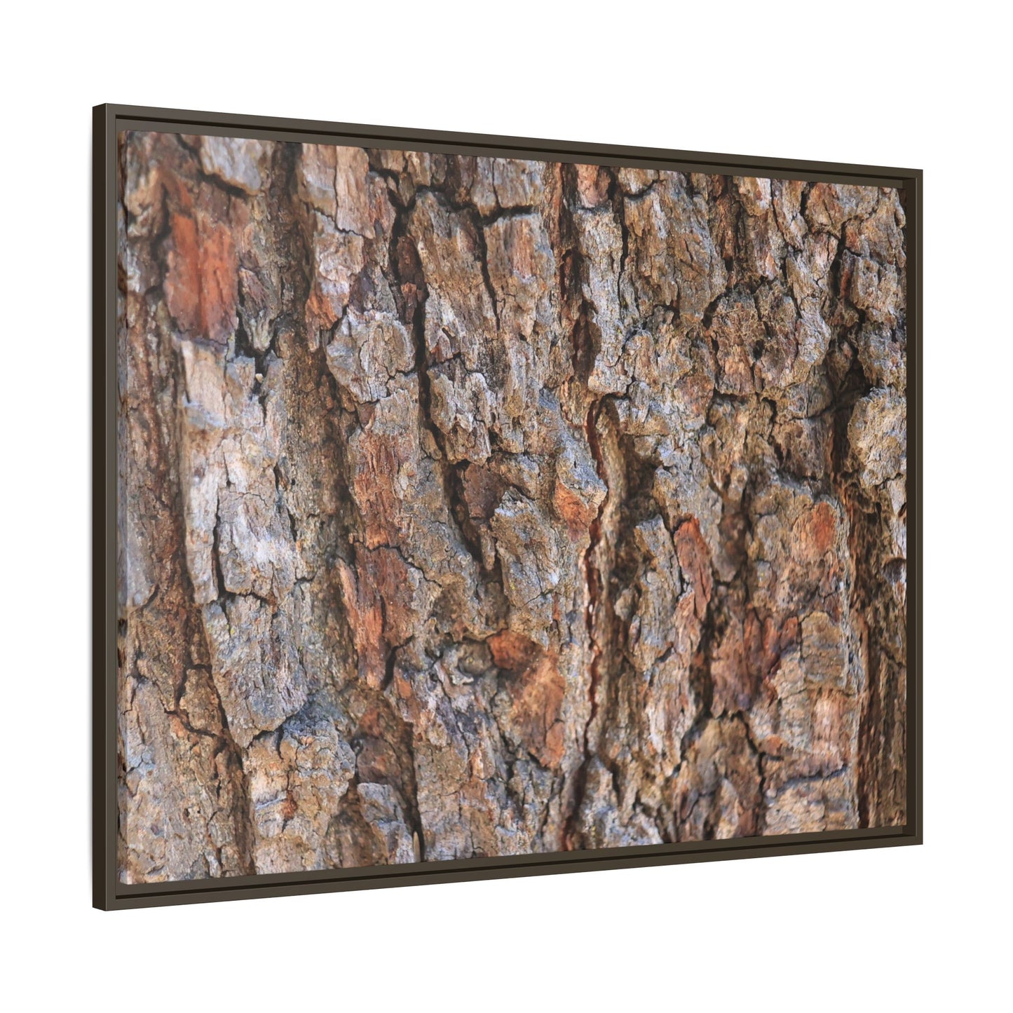 Tree's Timeworn Tale - Unique Stretched Canvas Wall Art