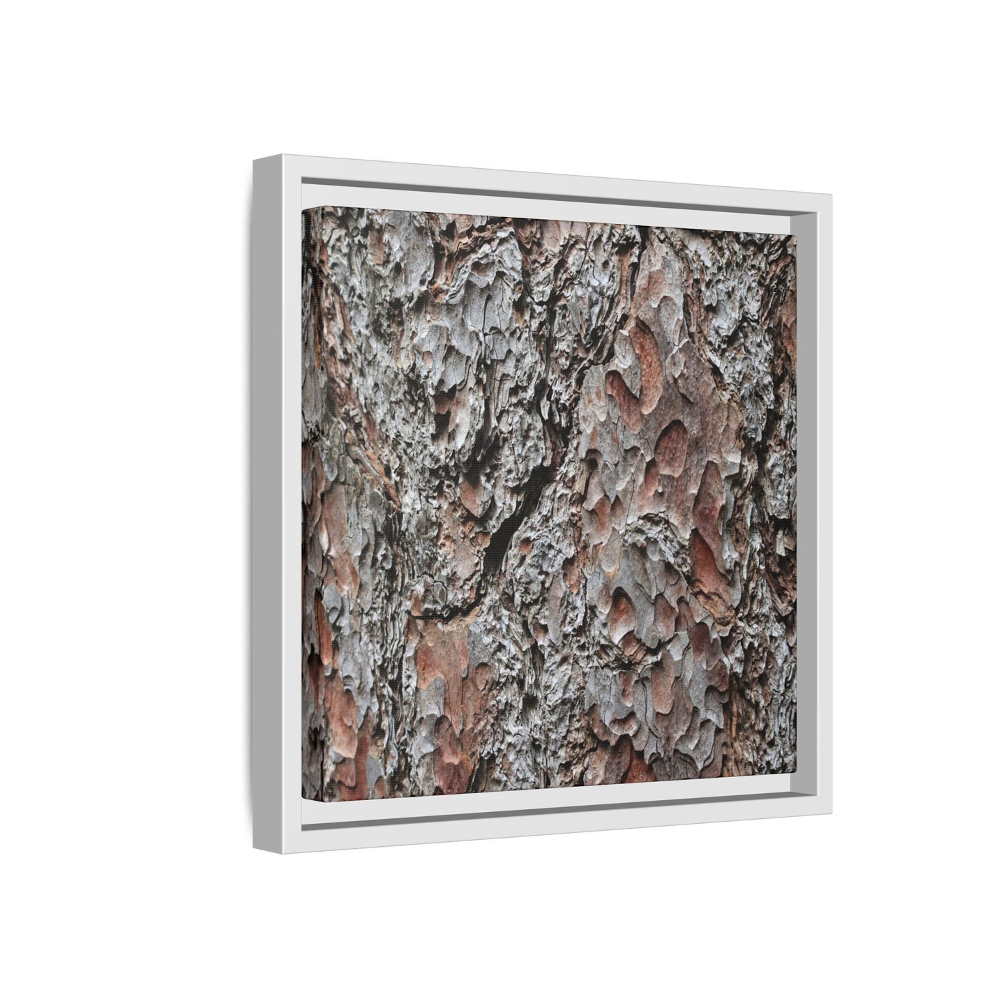 Bark Texture Symphony - Unique Stretched Canvas Wall Art