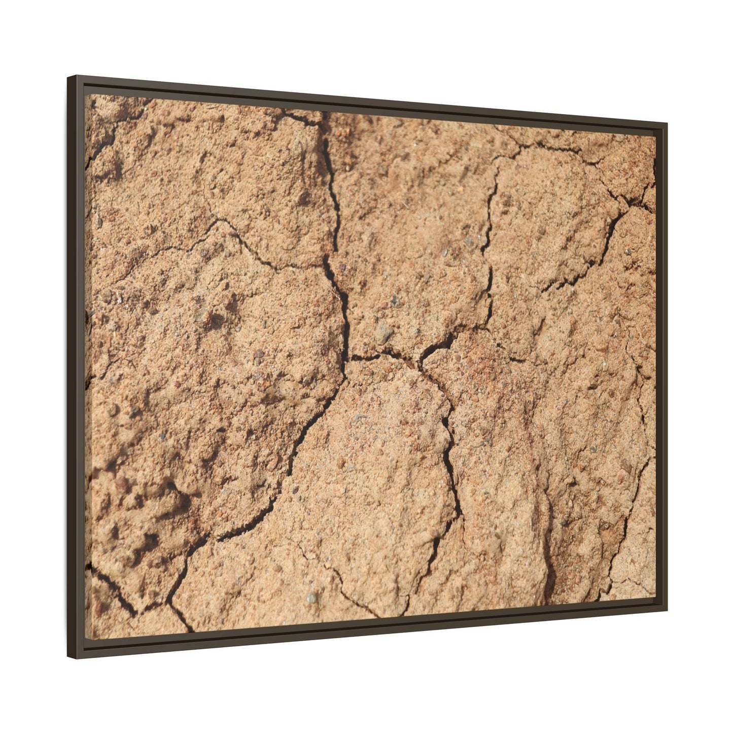 Parched Land - Unique Stretched Canvas Wall Art