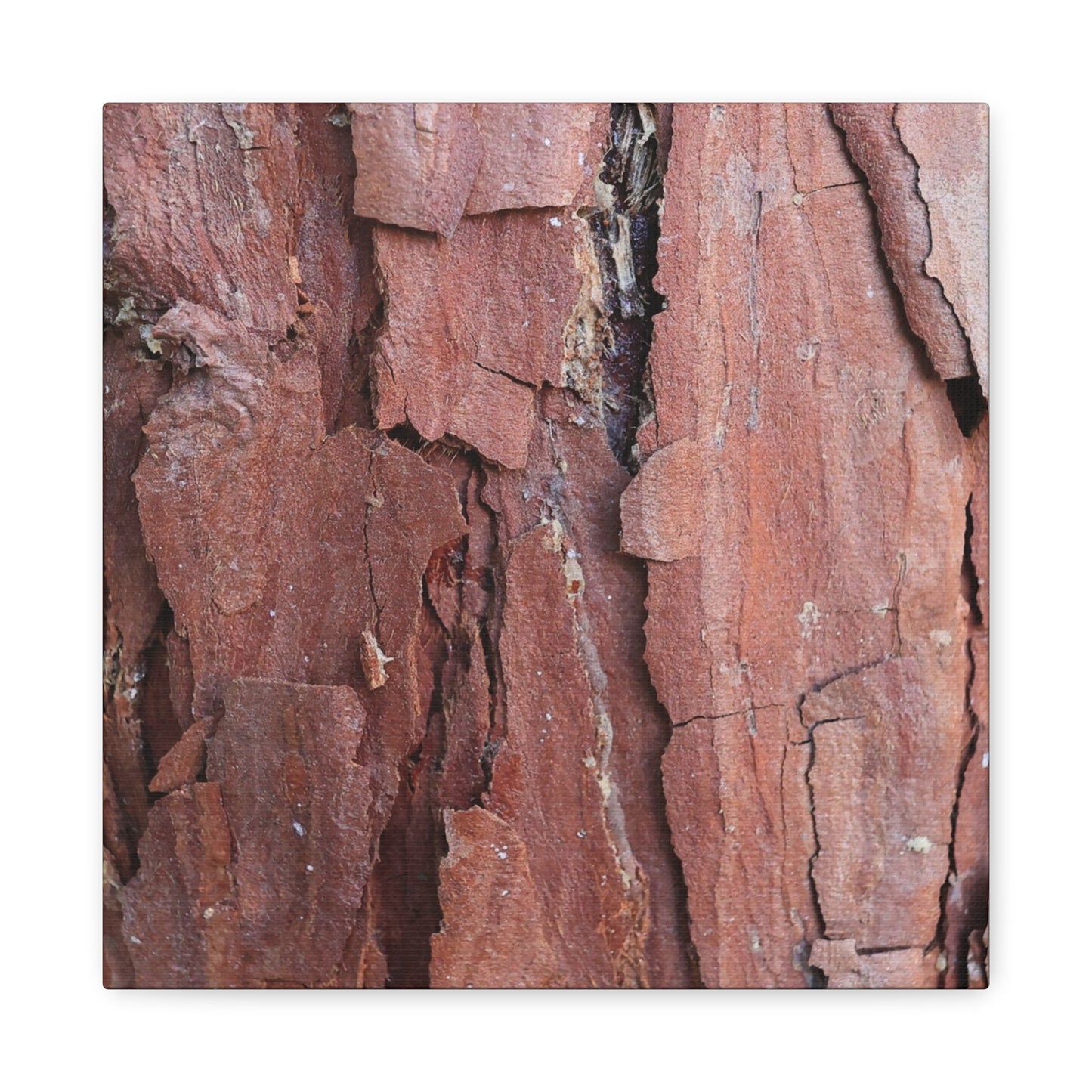 Crimson Fissures - Unique Frameless Canvas Wall Art