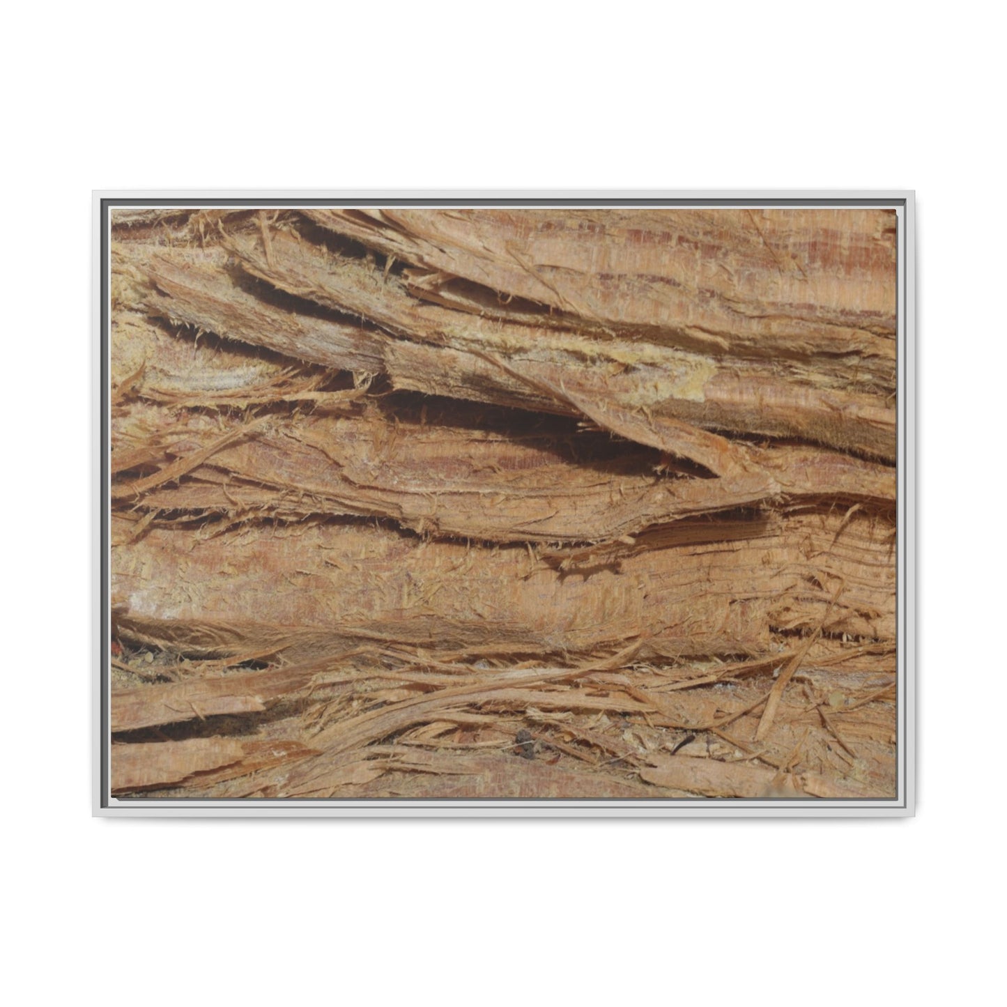 Splintered Bark - Unique Stretched Canvas Wall Art