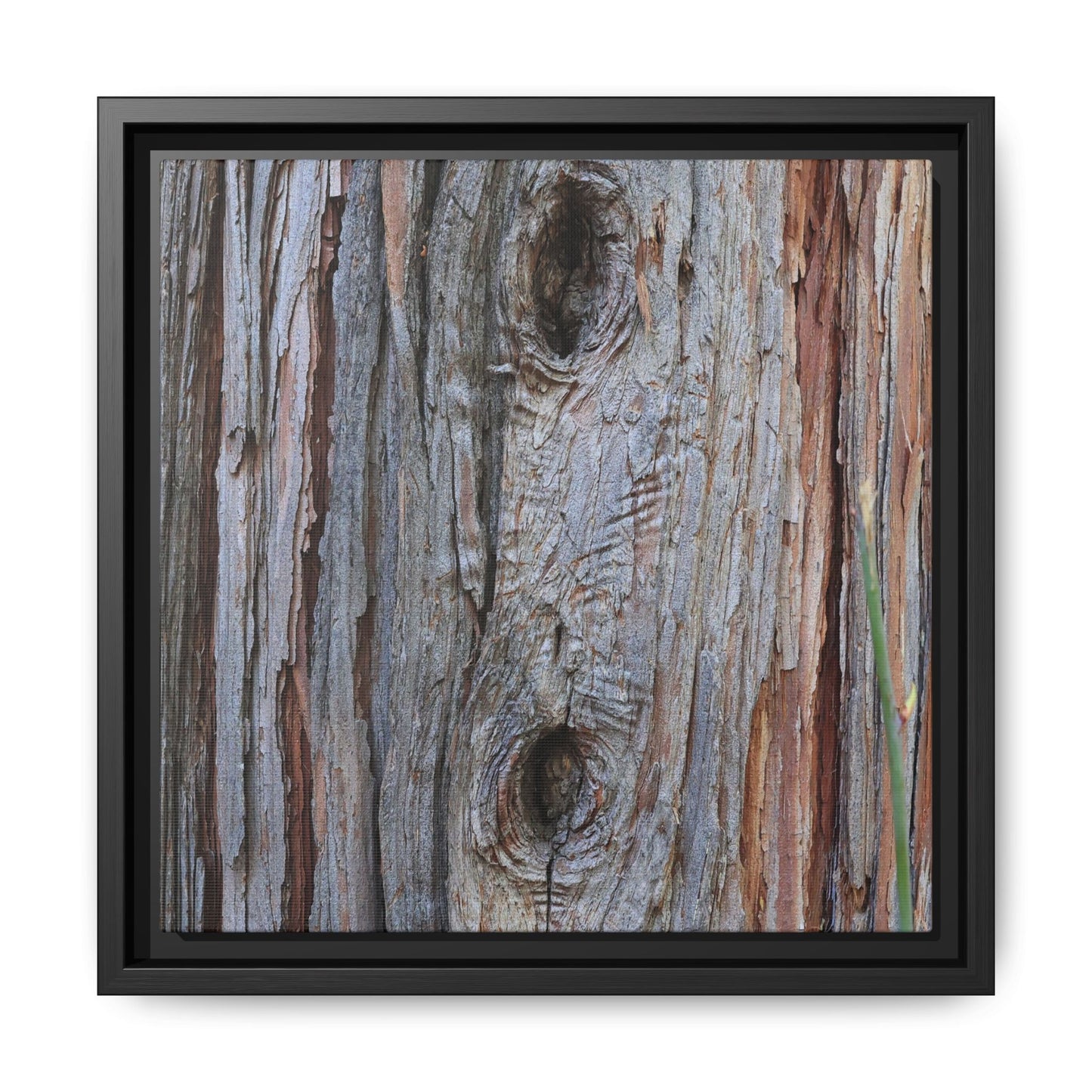 Knotty Nature - Unique Stretched Canvas Wall Art