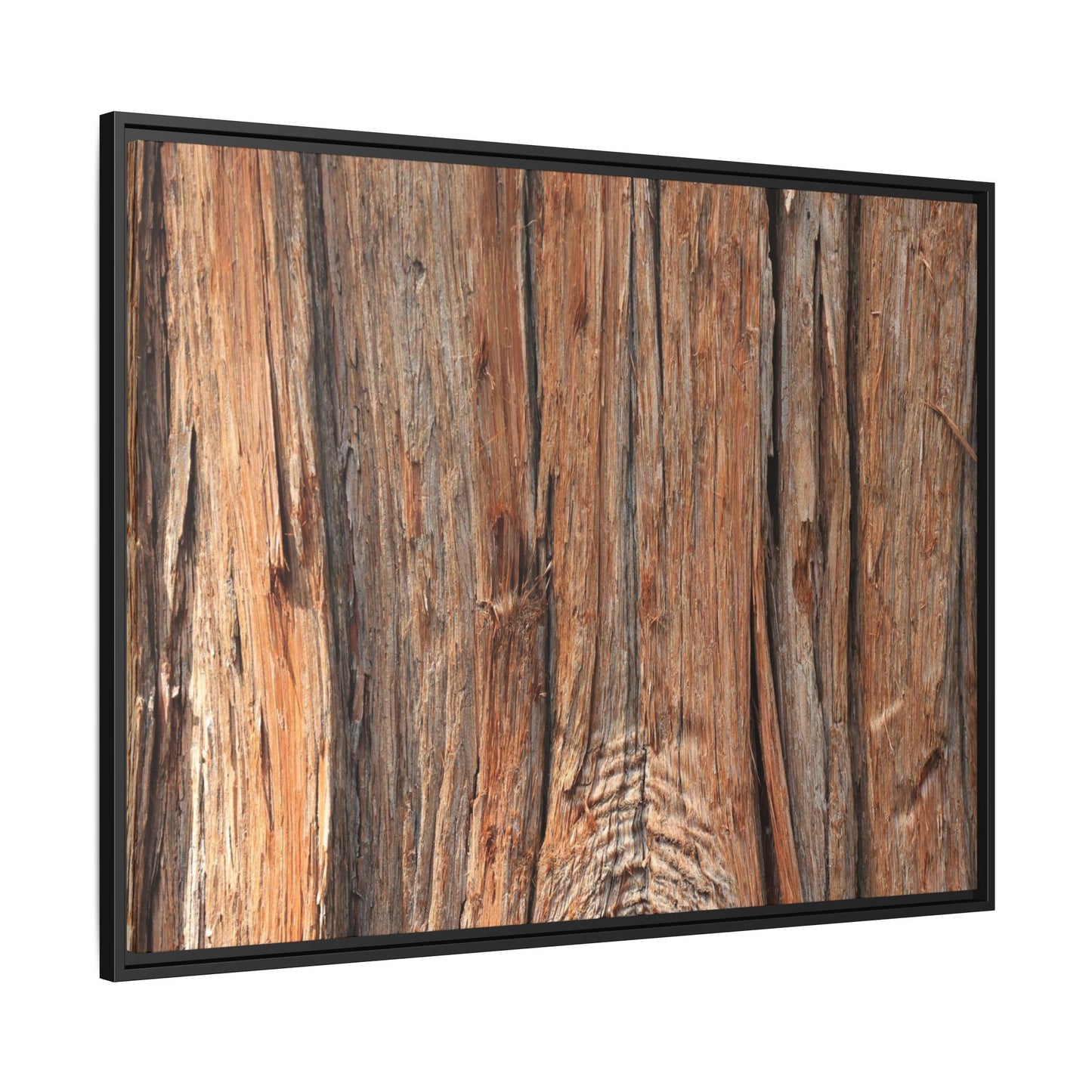 Echoes of Timber - Unique Stretched Canvas Wall Art