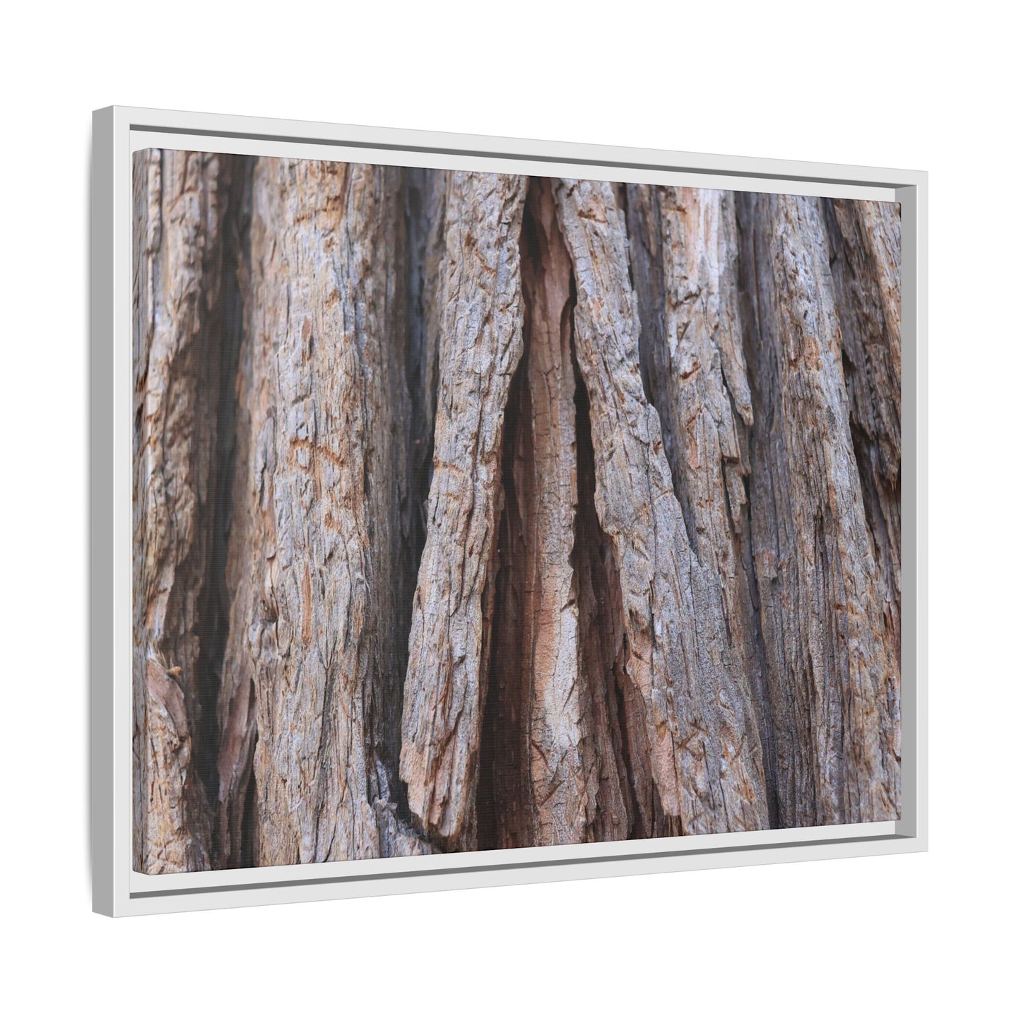 Nature's Sculpture - Unique Stretched Canvas Wall Art