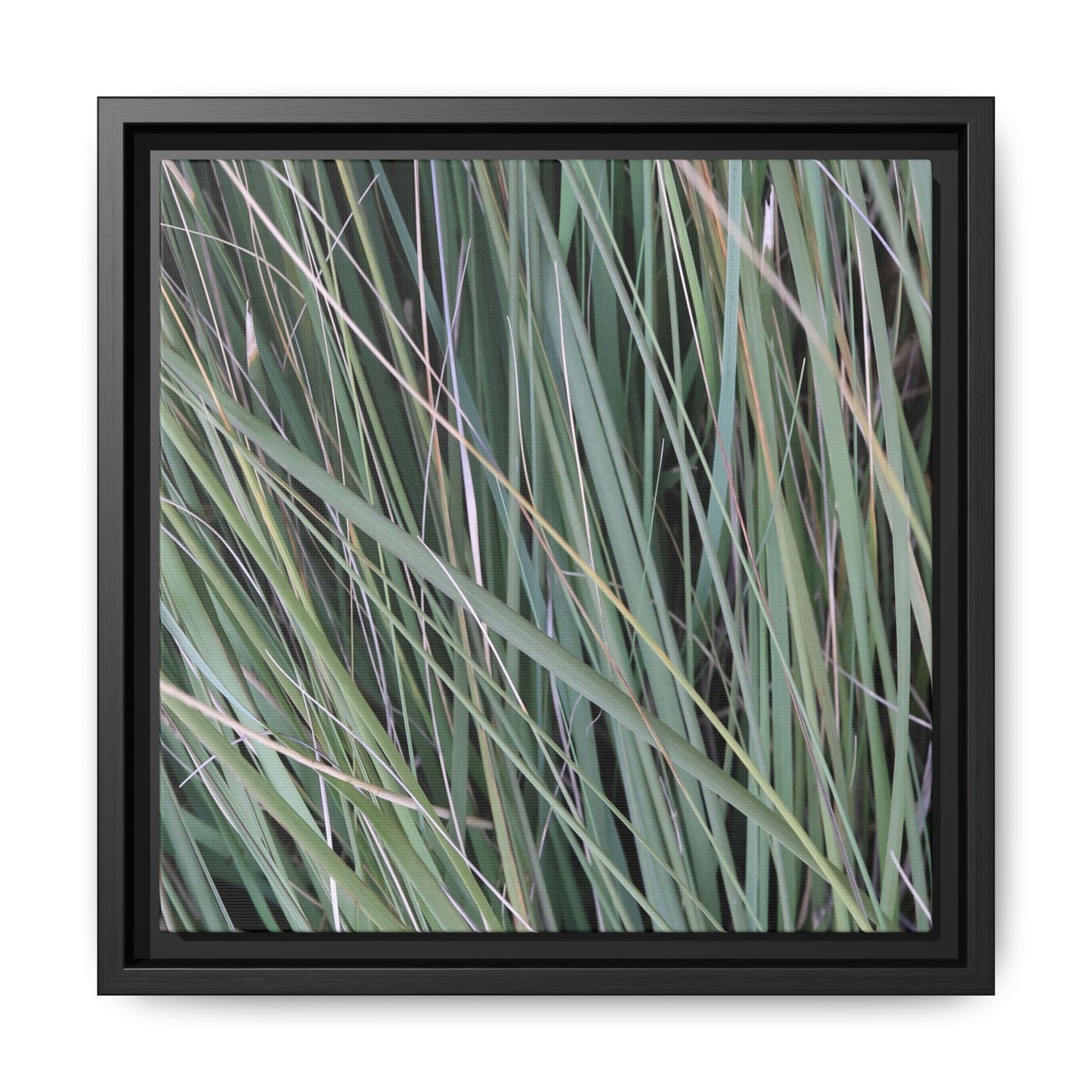 Grassland Symphony - Unique Stretched Canvas Wall Art