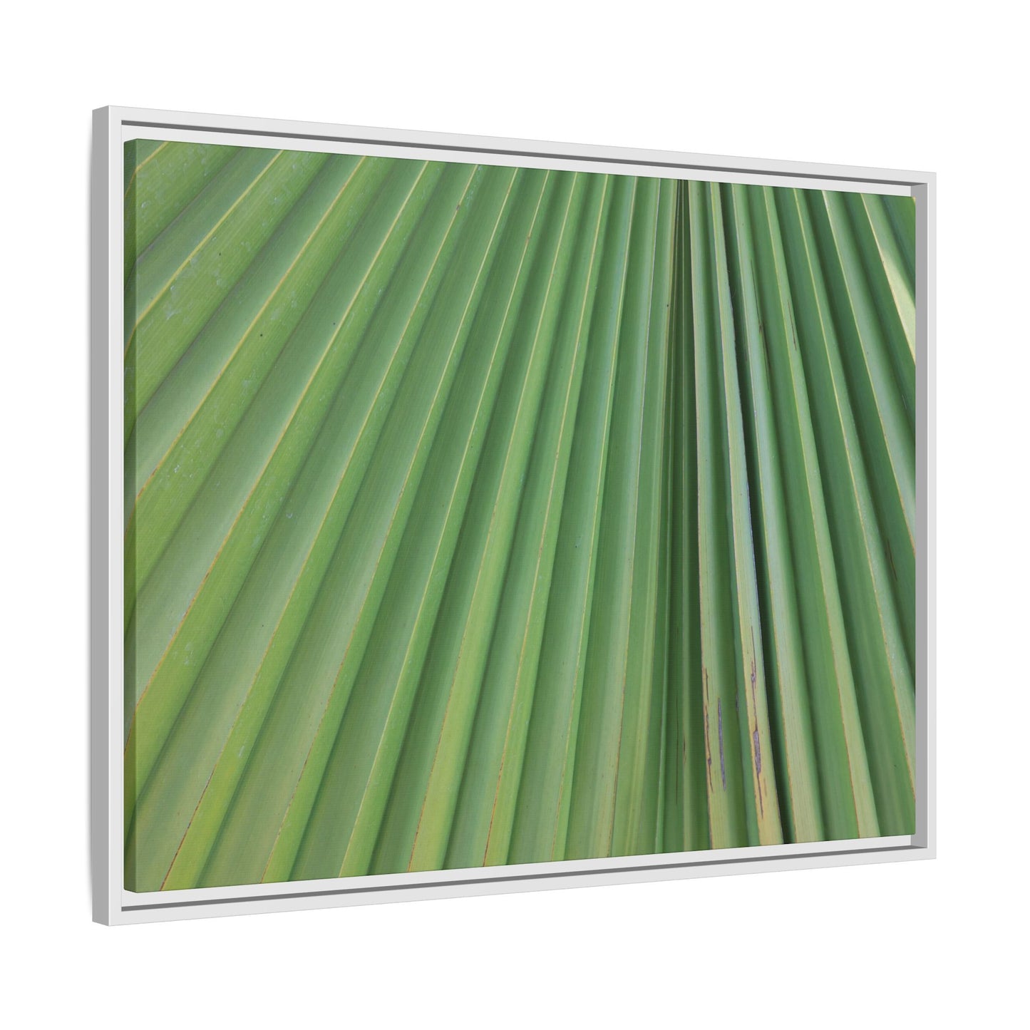 Emerald Rays - Unique Stretched Canvas Wall Art