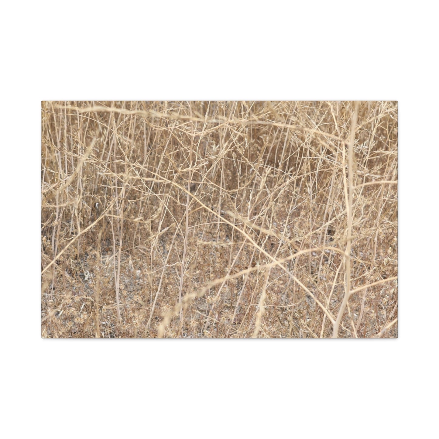 Dry Echoes - Unique Frameless Canvas Wall Art