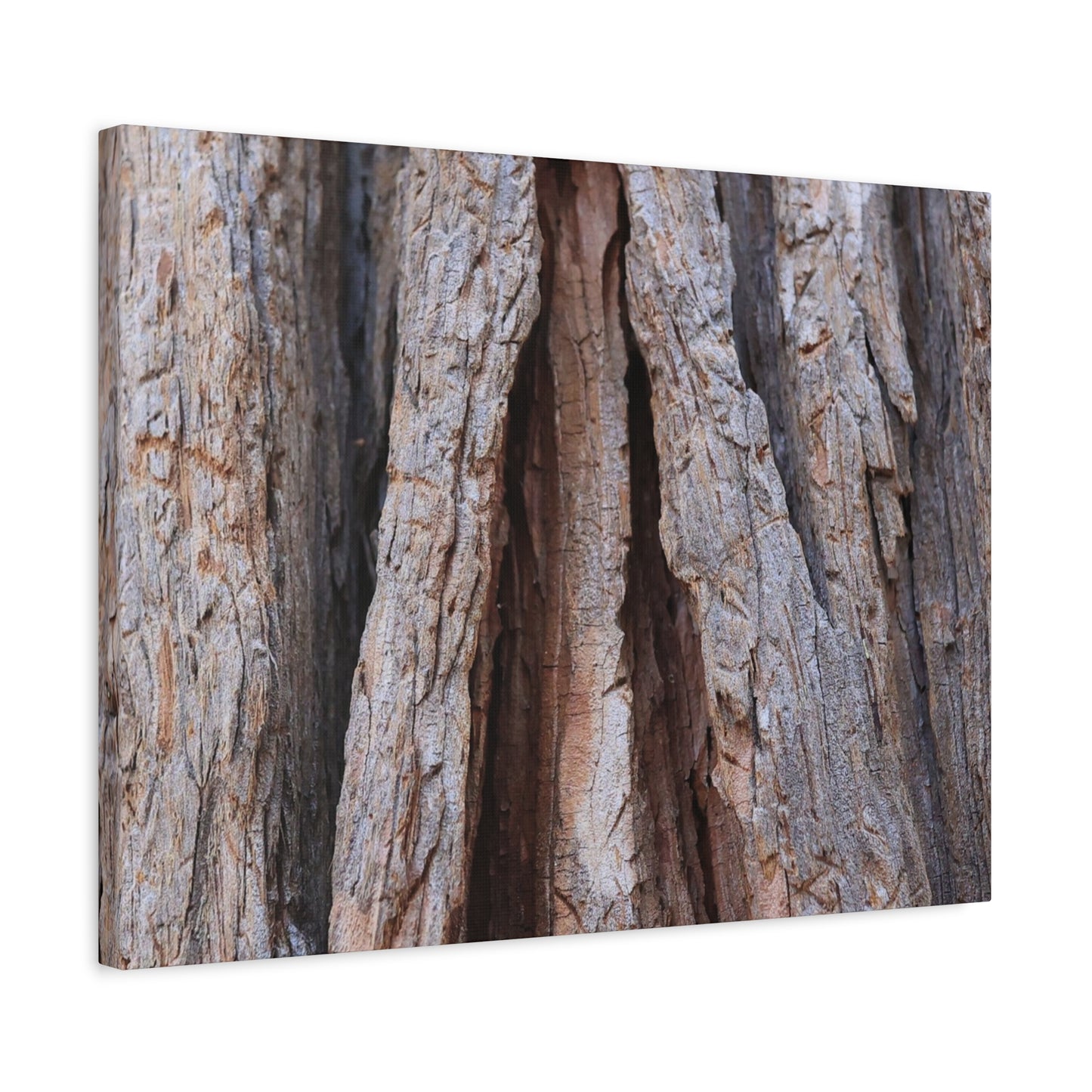 Fractured Skin of Time - Unique Frameless Canvas Wall Art
