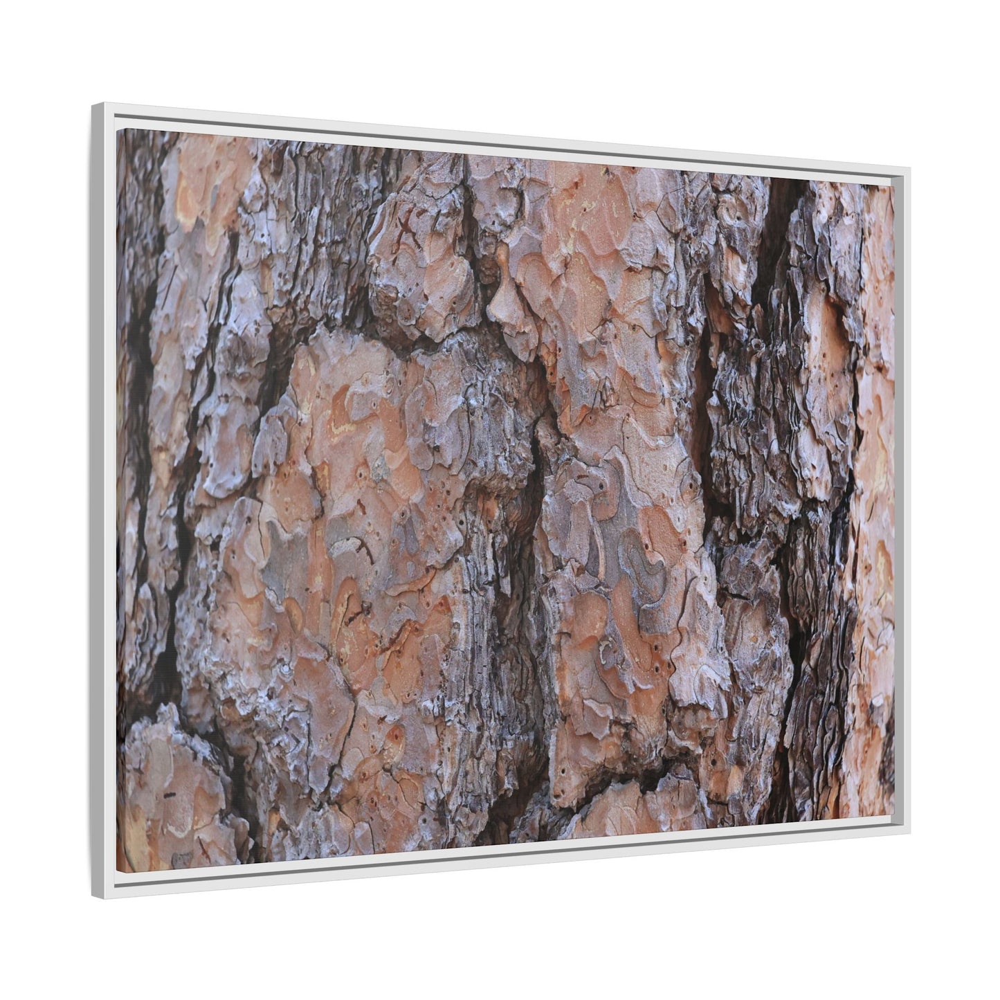 Tree Skin Symphony - Unique Stretched Canvas Wall Art