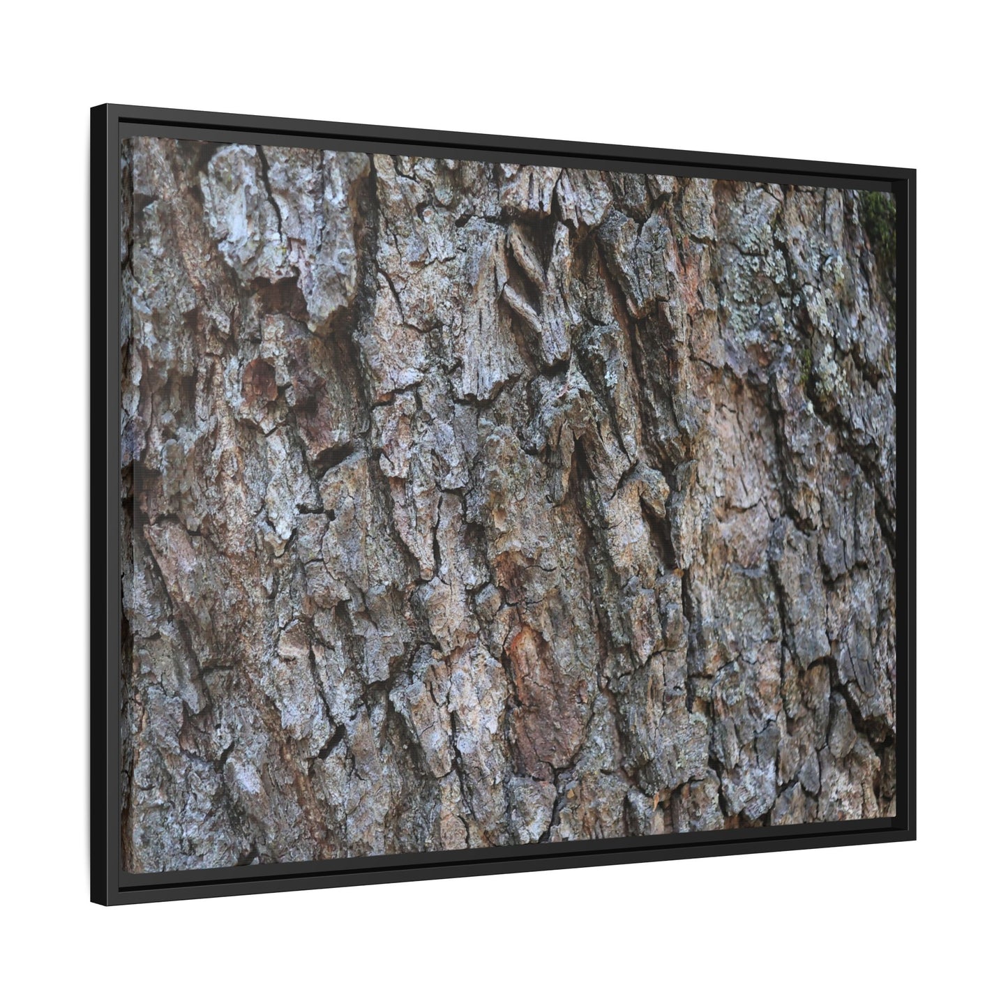 Woodland Skin - Unique Stretched Canvas Wall Art