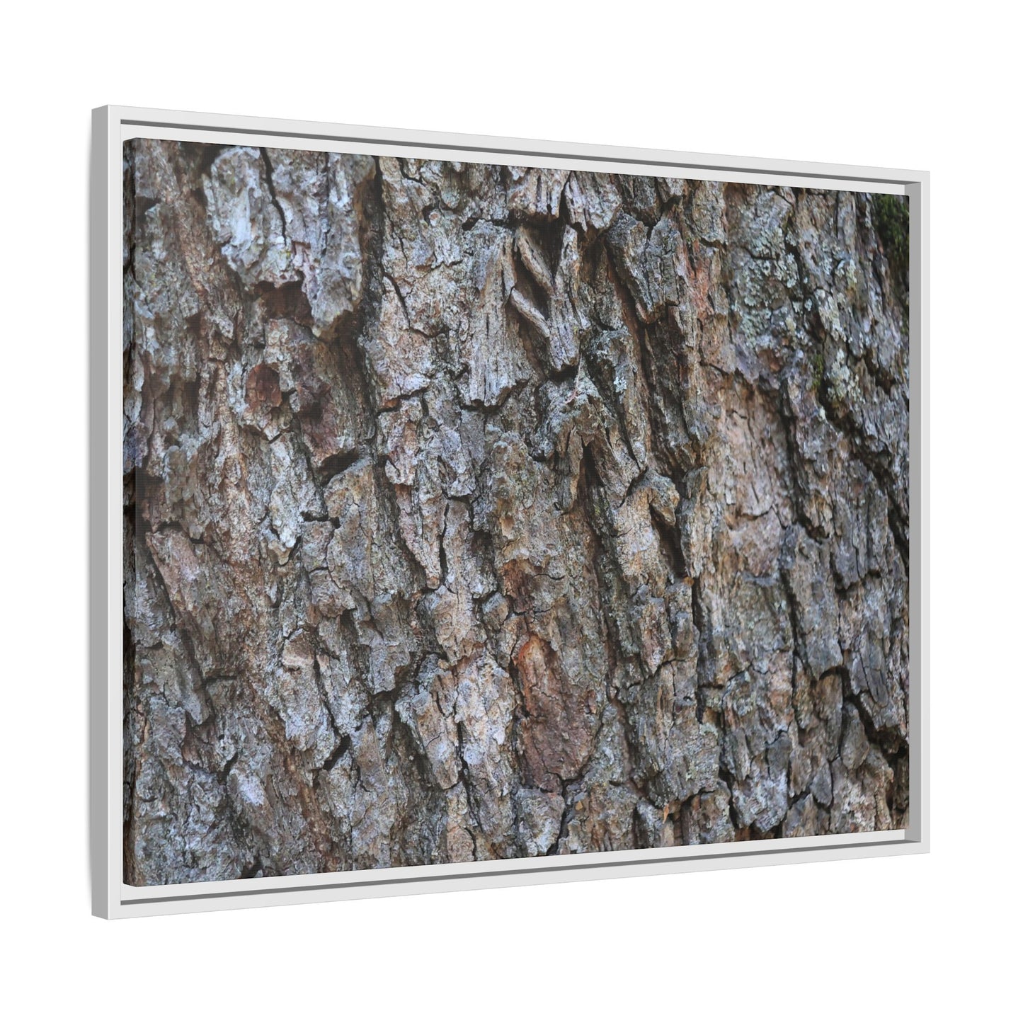 Woodland Skin - Unique Stretched Canvas Wall Art