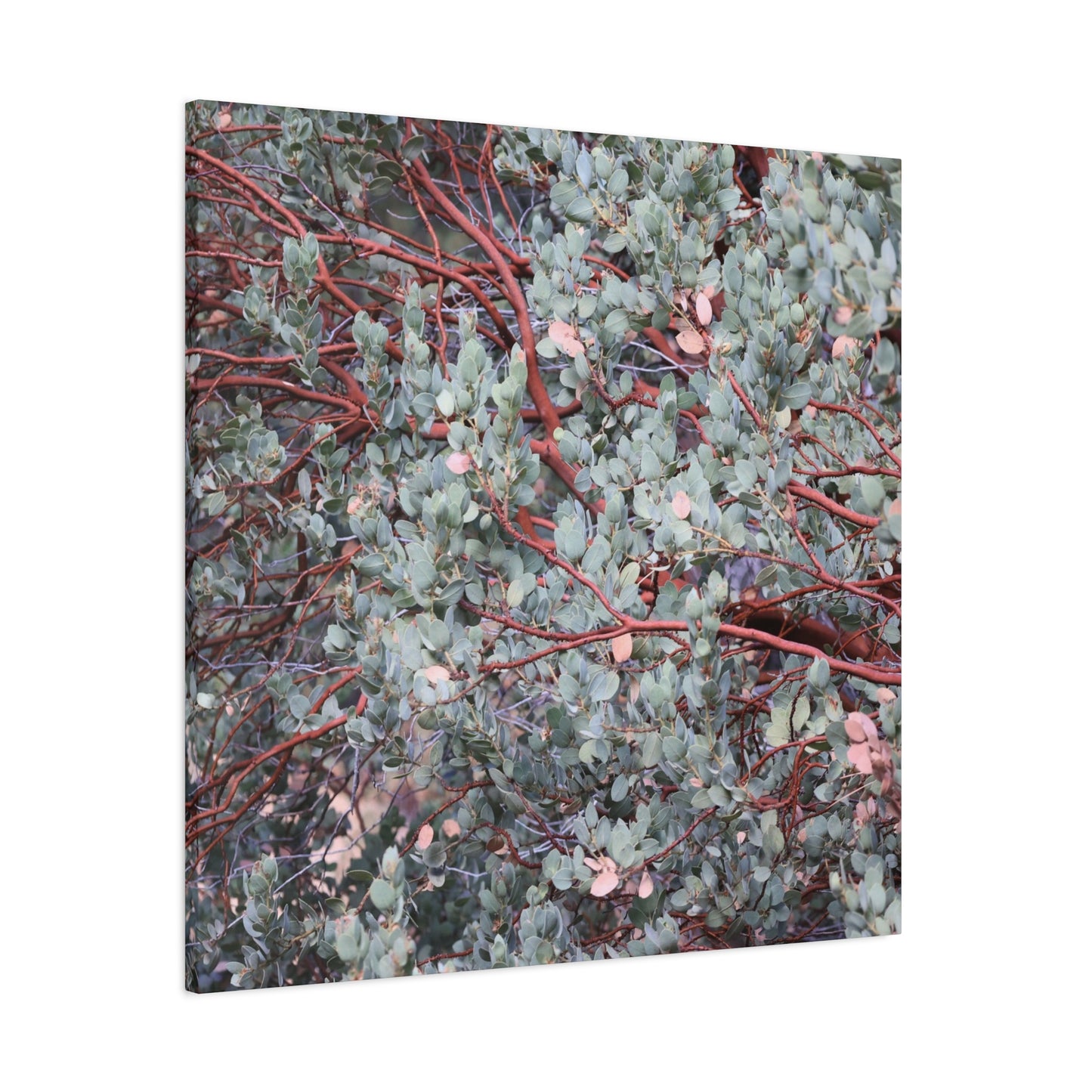 Whispers of Silver and Rust - Unique Frameless Canvas Wall Art