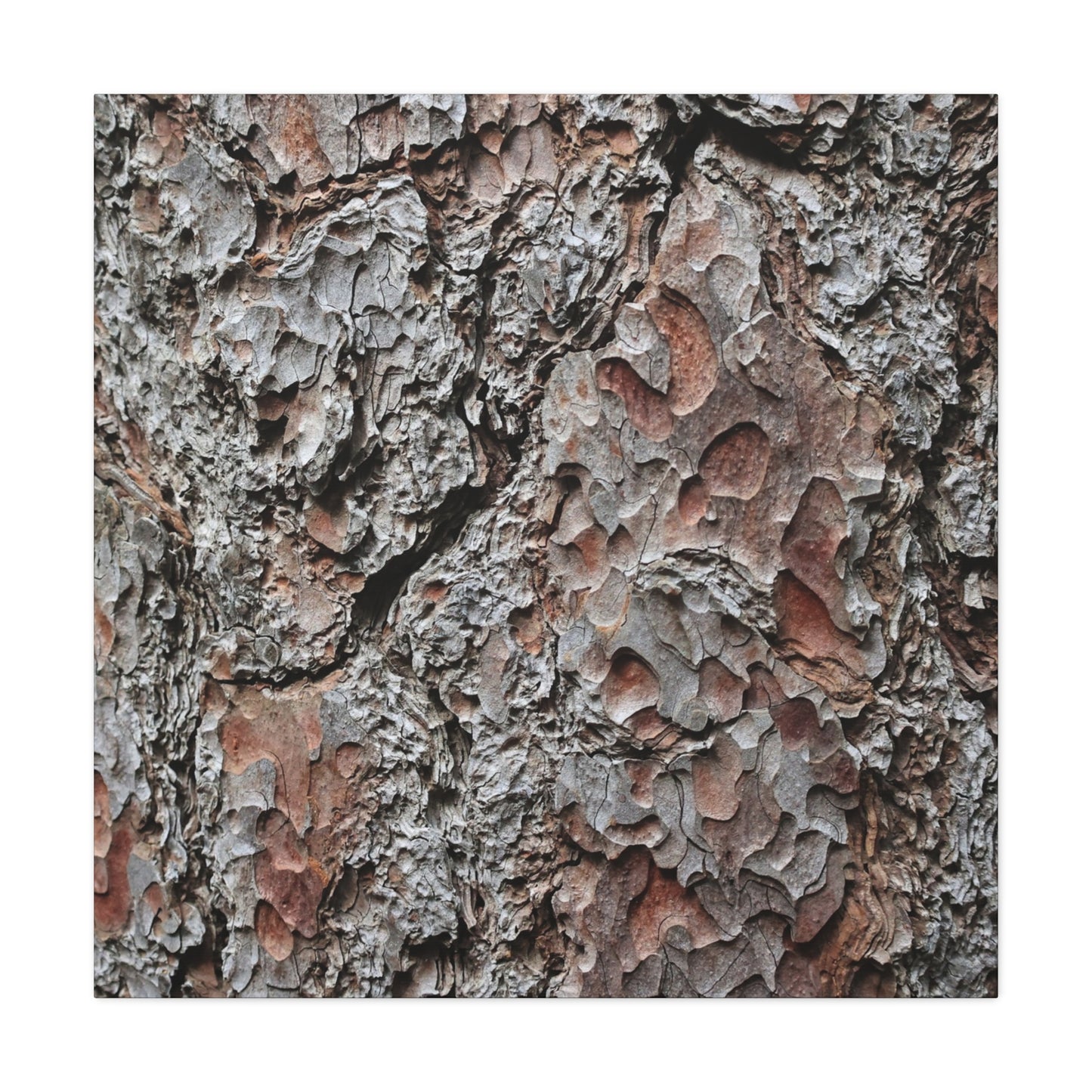 Textured Whispers of Bark - Unique Frameless Canvas Wall Art