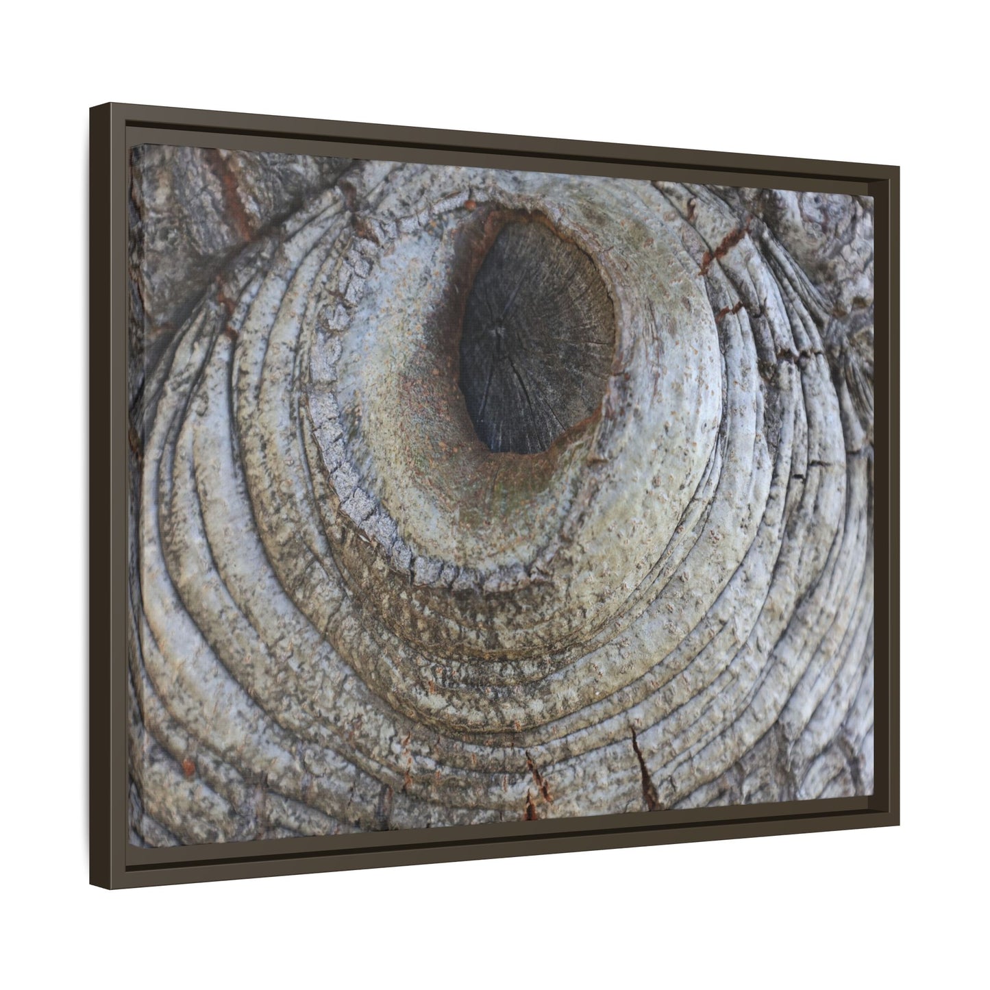 Echoes of Time - Unique Stretched Canvas Wall Art