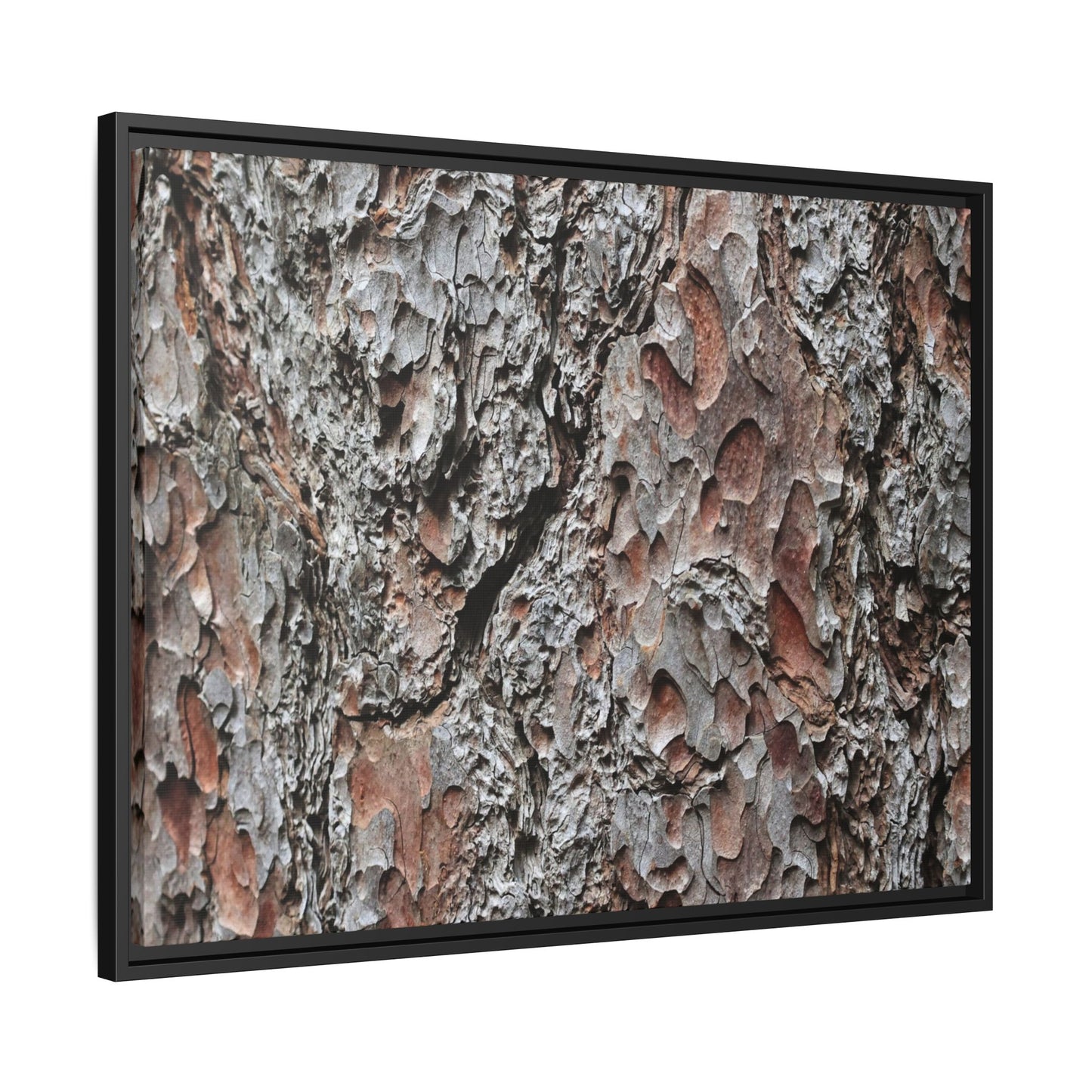 Bark Texture Symphony - Unique Stretched Canvas Wall Art