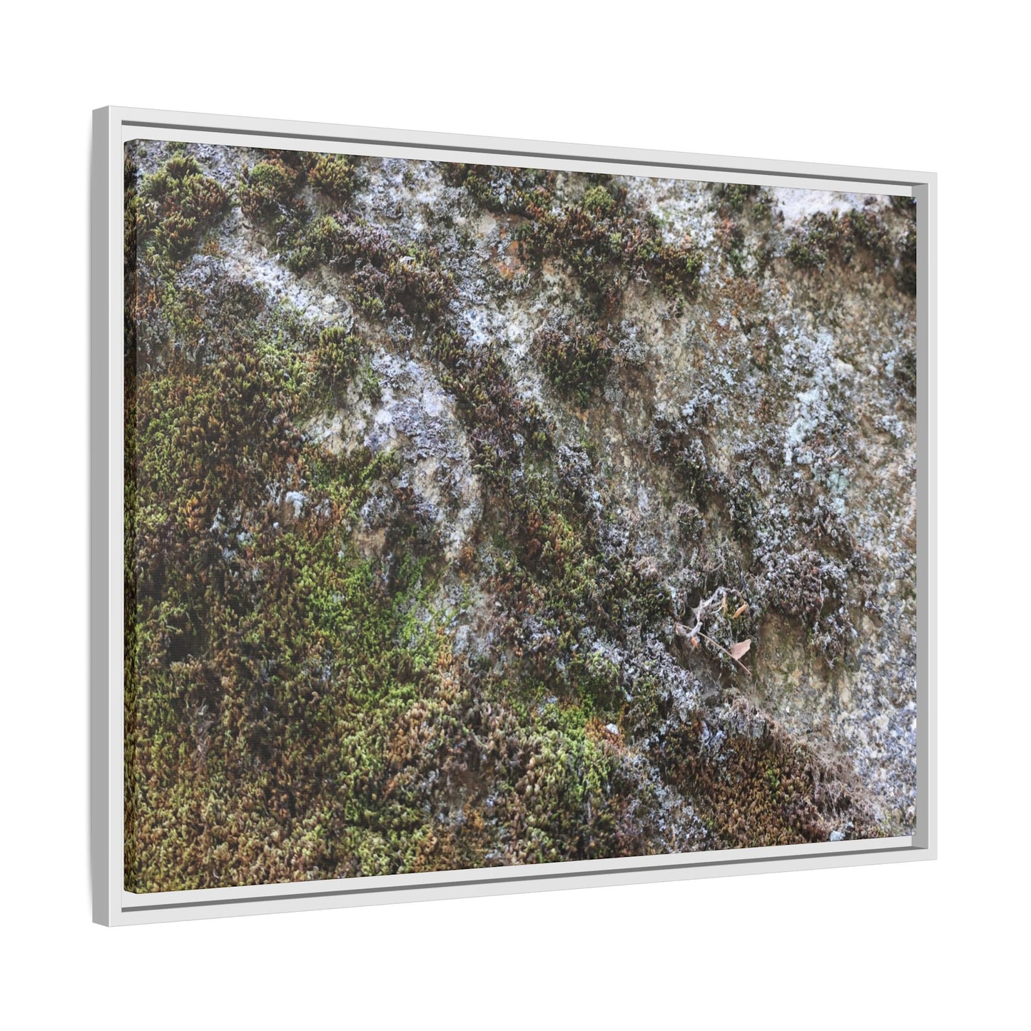 Mossy Whispers - Unique Stretched Canvas Wall Art