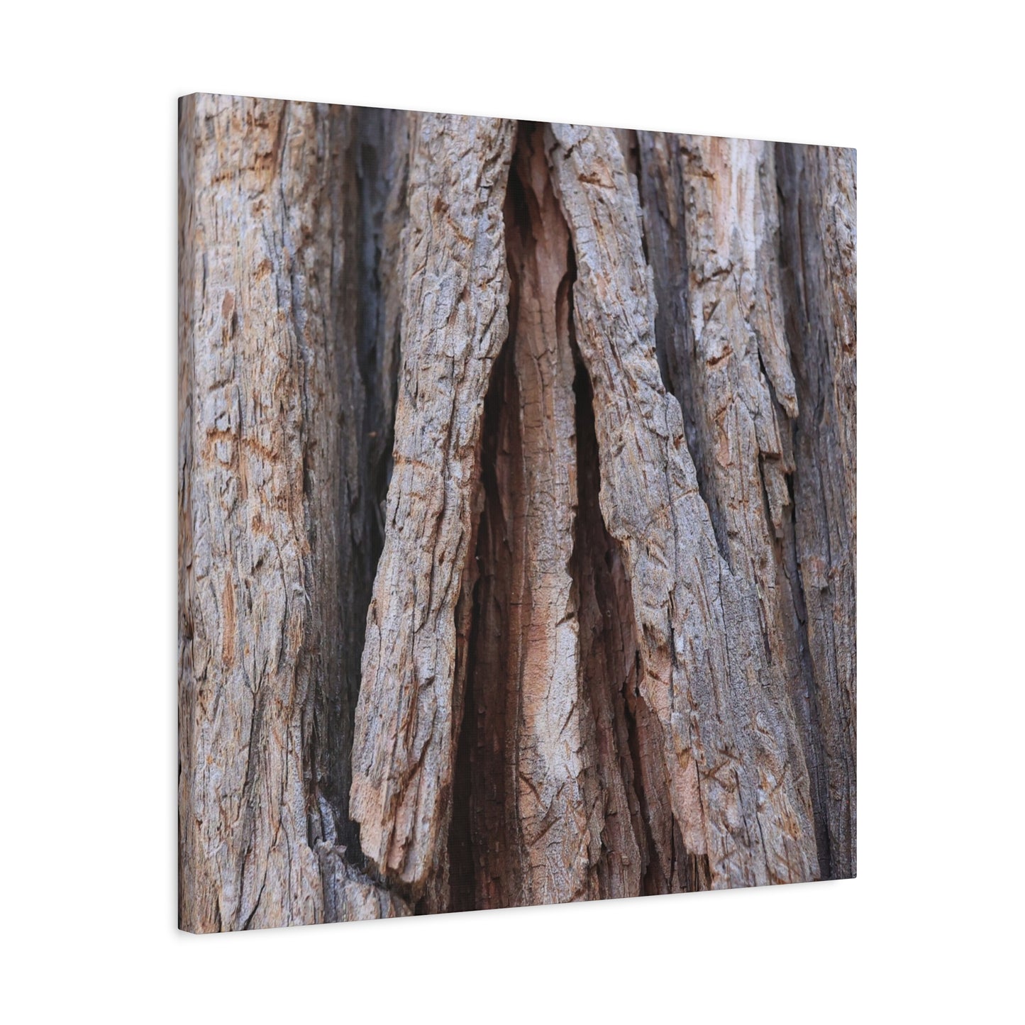 Fractured Skin of Time - Unique Frameless Canvas Wall Art