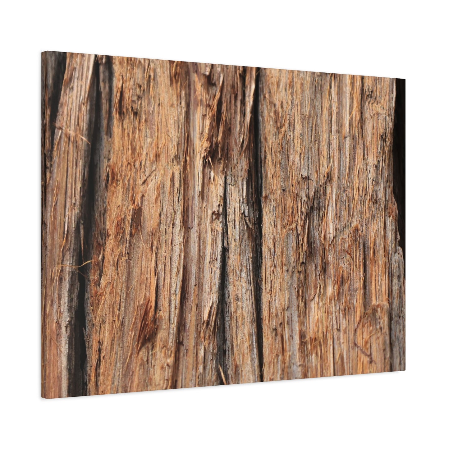 Woodland Echoes - Unique Frameless Canvas Wall Art