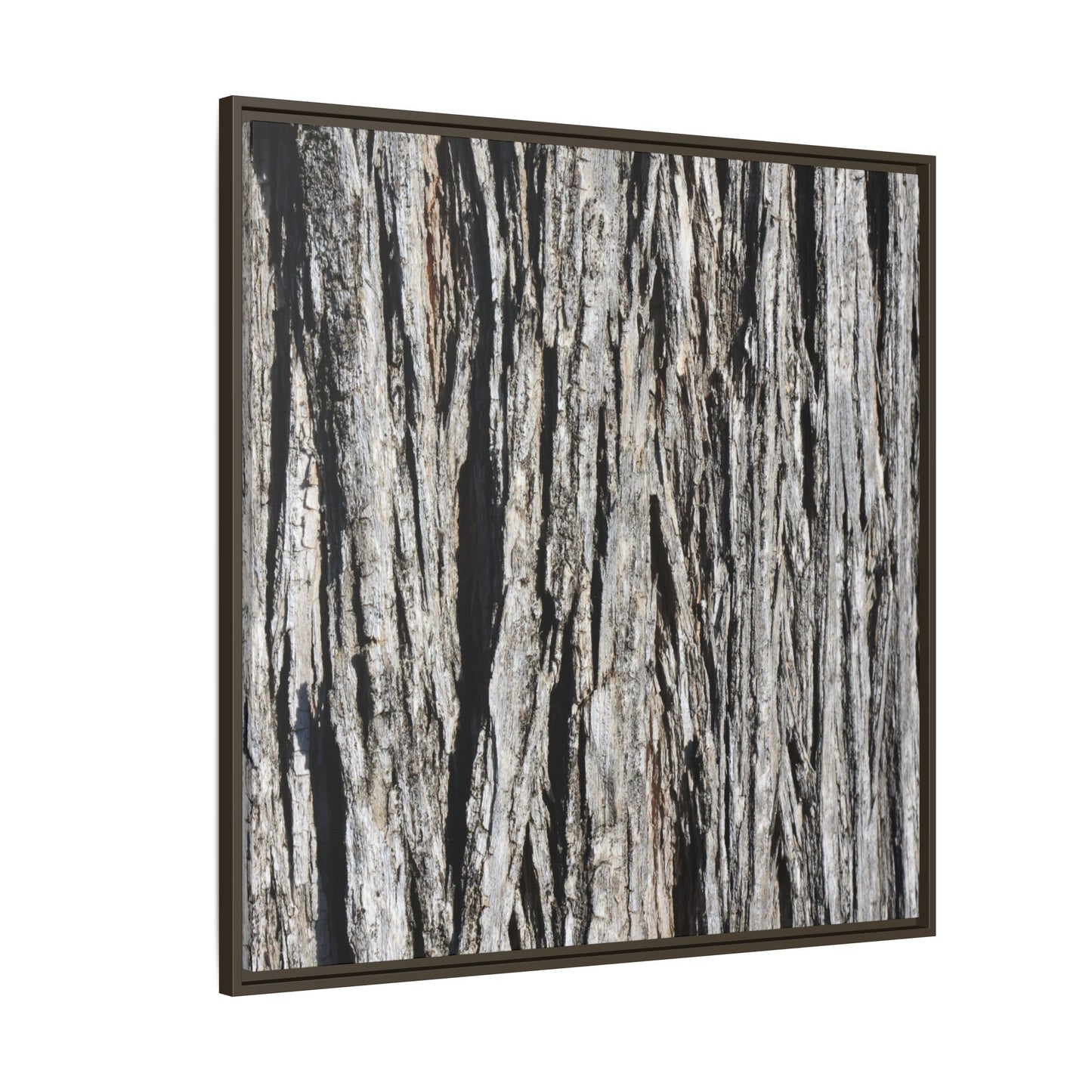 Nature's Abstract - Unique Stretched Canvas Wall Art