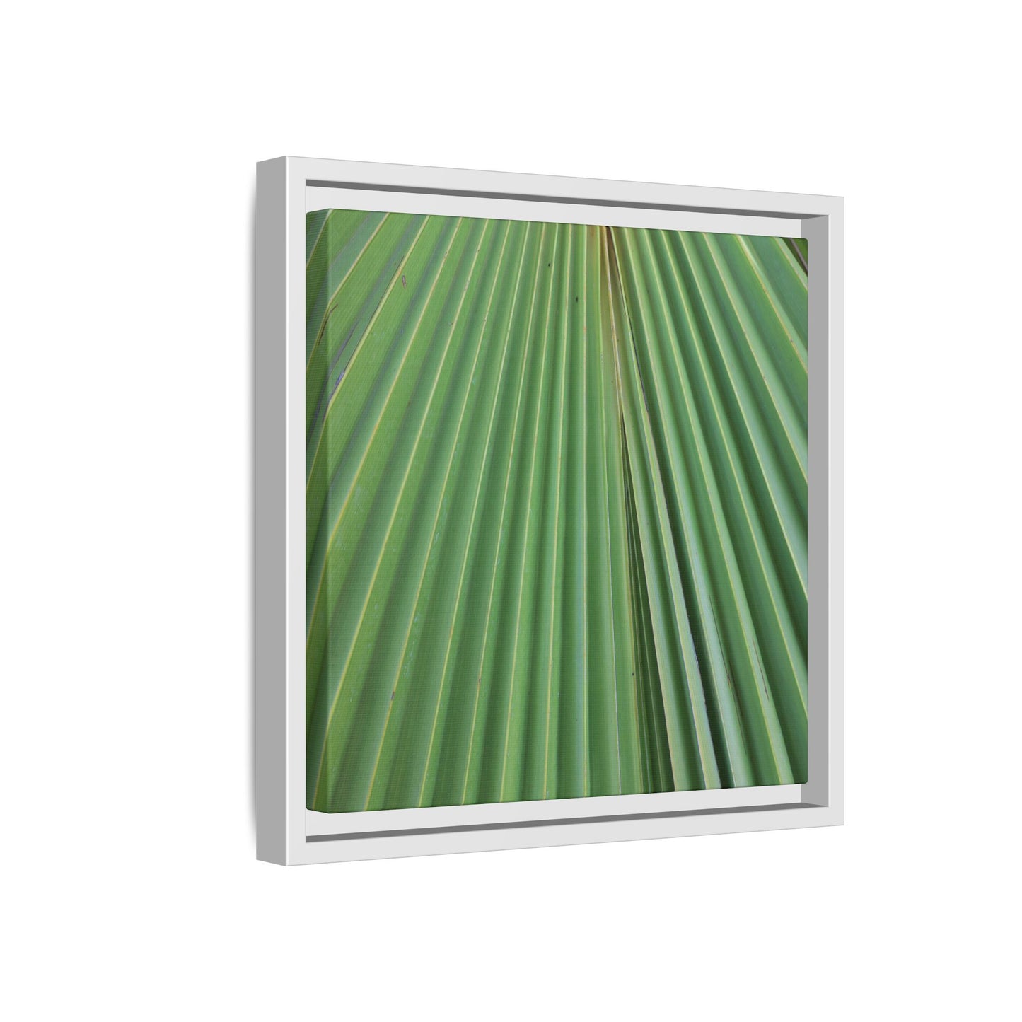 Verdant Veins - Unique Stretched Canvas Wall Art