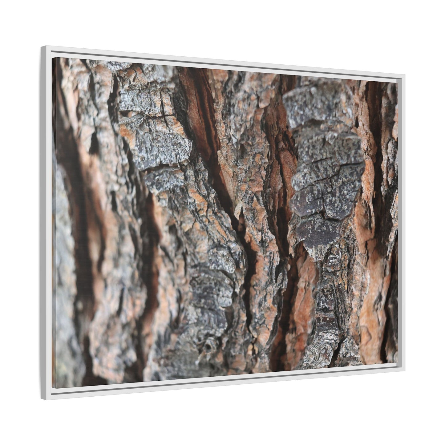 Fractured Nature - Unique Stretched Canvas Wall Art