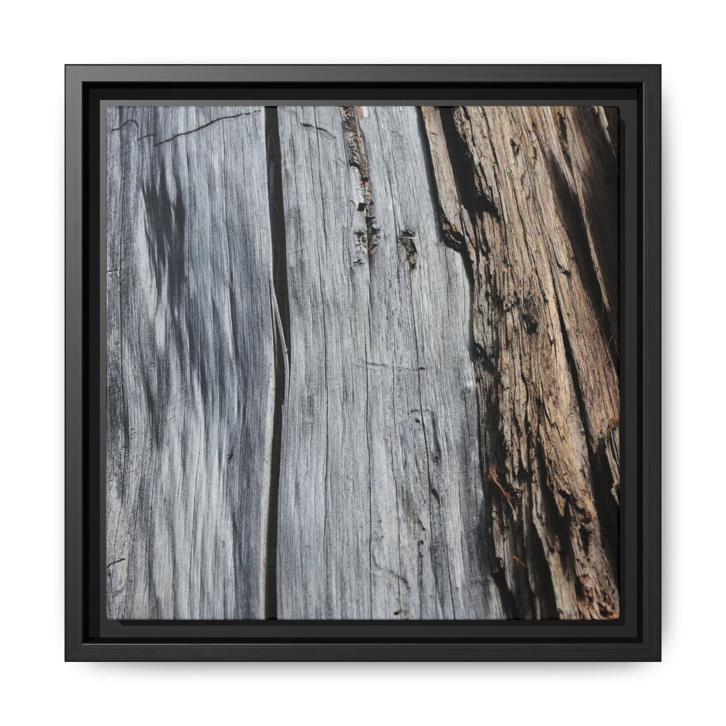 Wood's Lament - Unique Stretched Canvas Wall Art