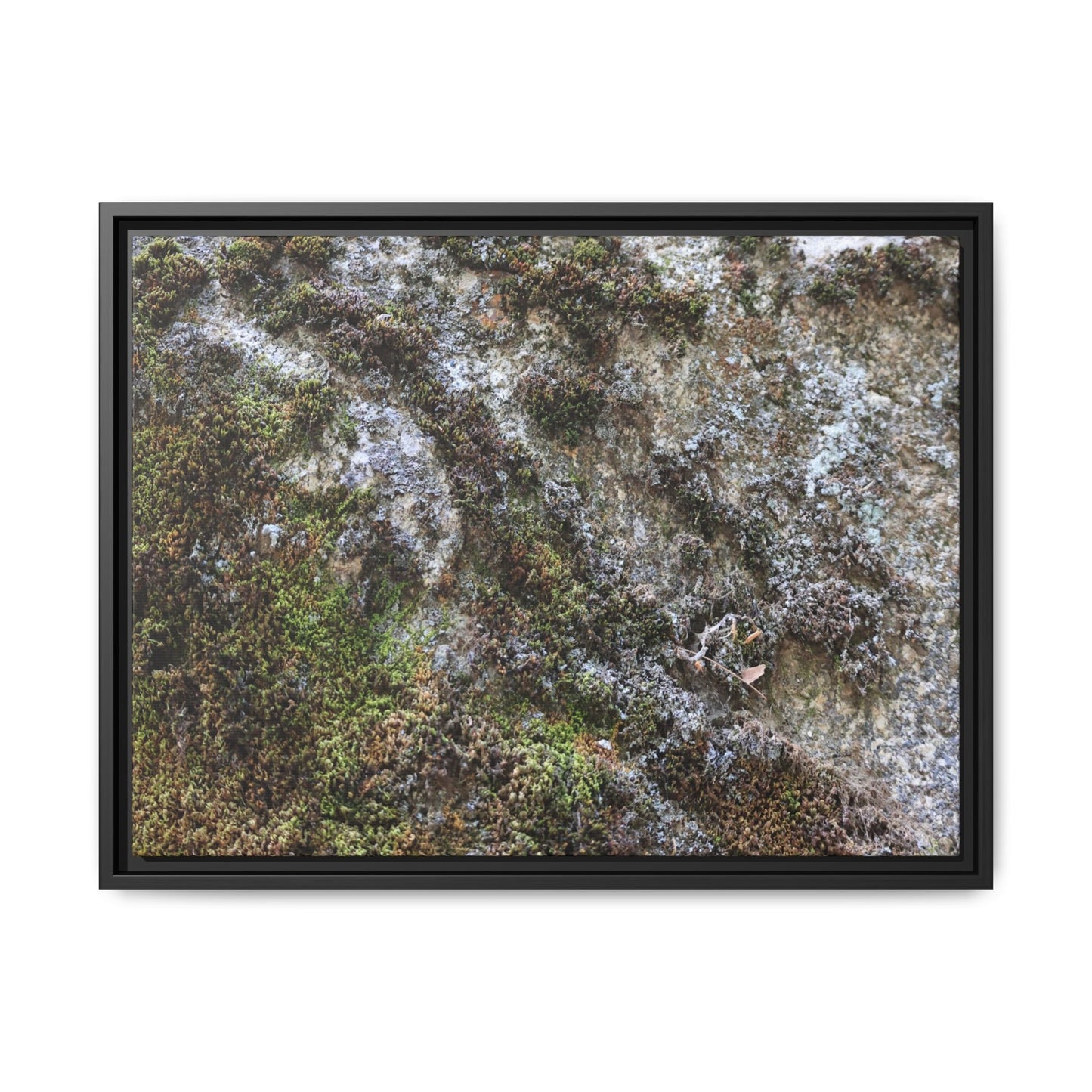 Mossy Whispers - Unique Stretched Canvas Wall Art