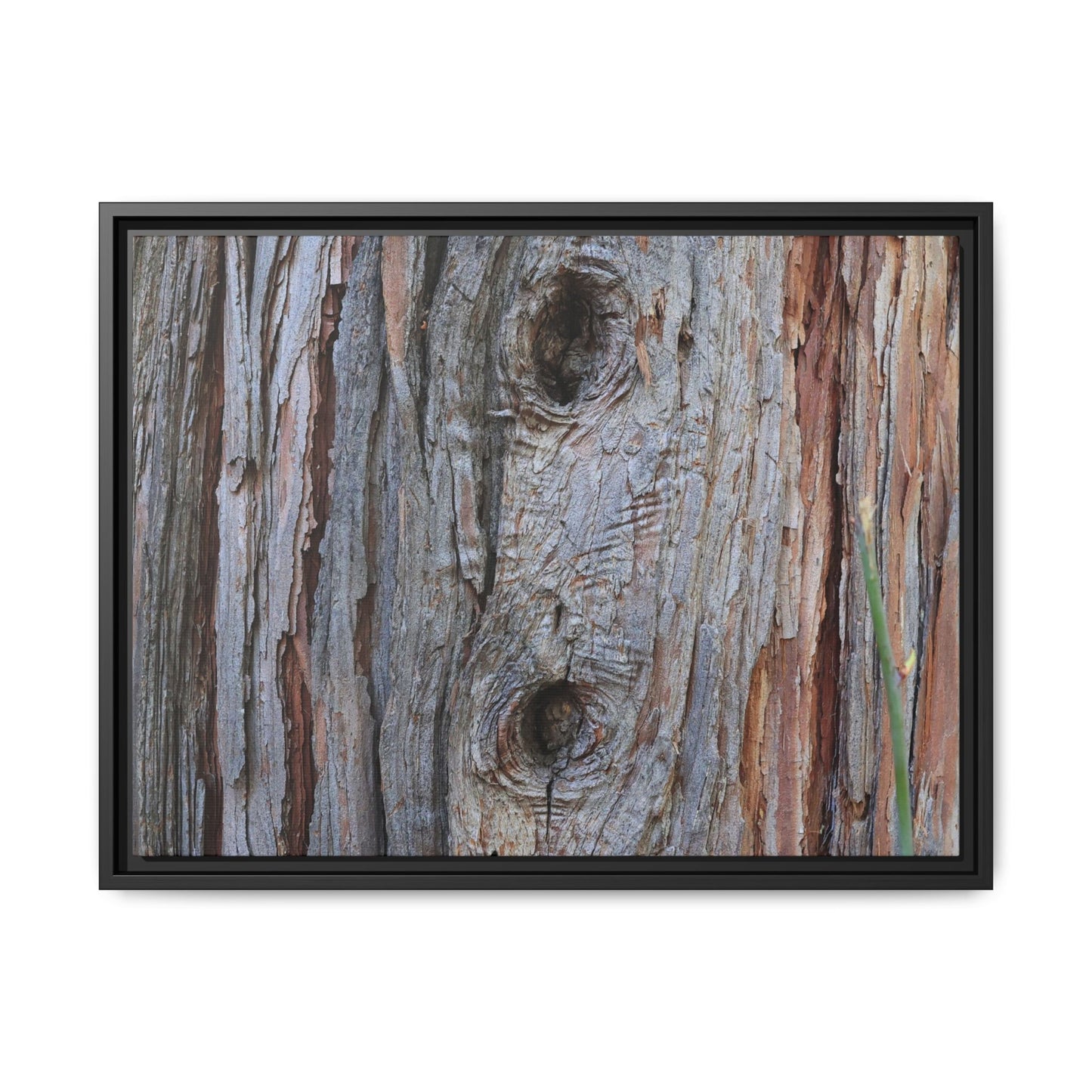 Knotty Nature - Unique Stretched Canvas Wall Art