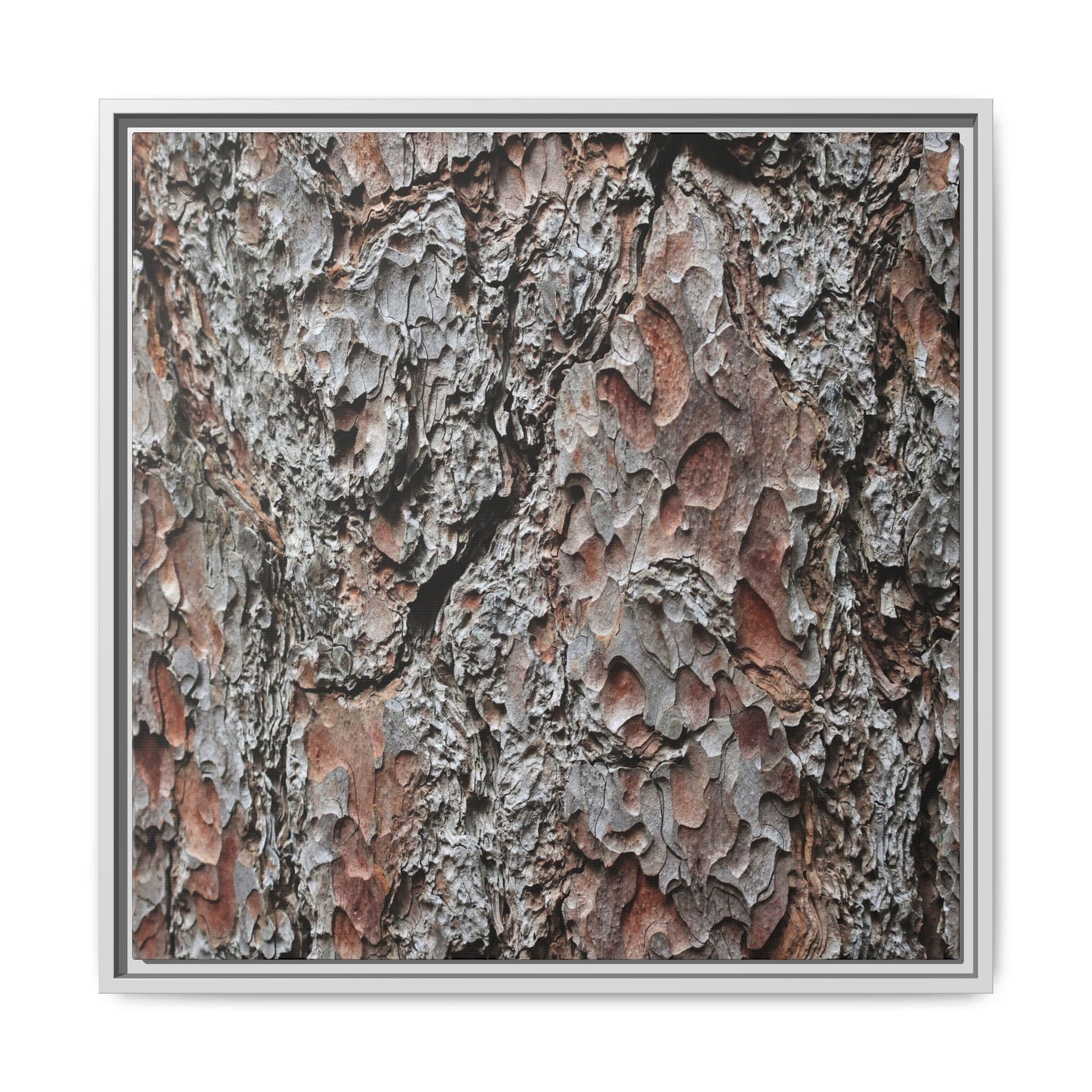 Bark Texture Symphony - Unique Stretched Canvas Wall Art